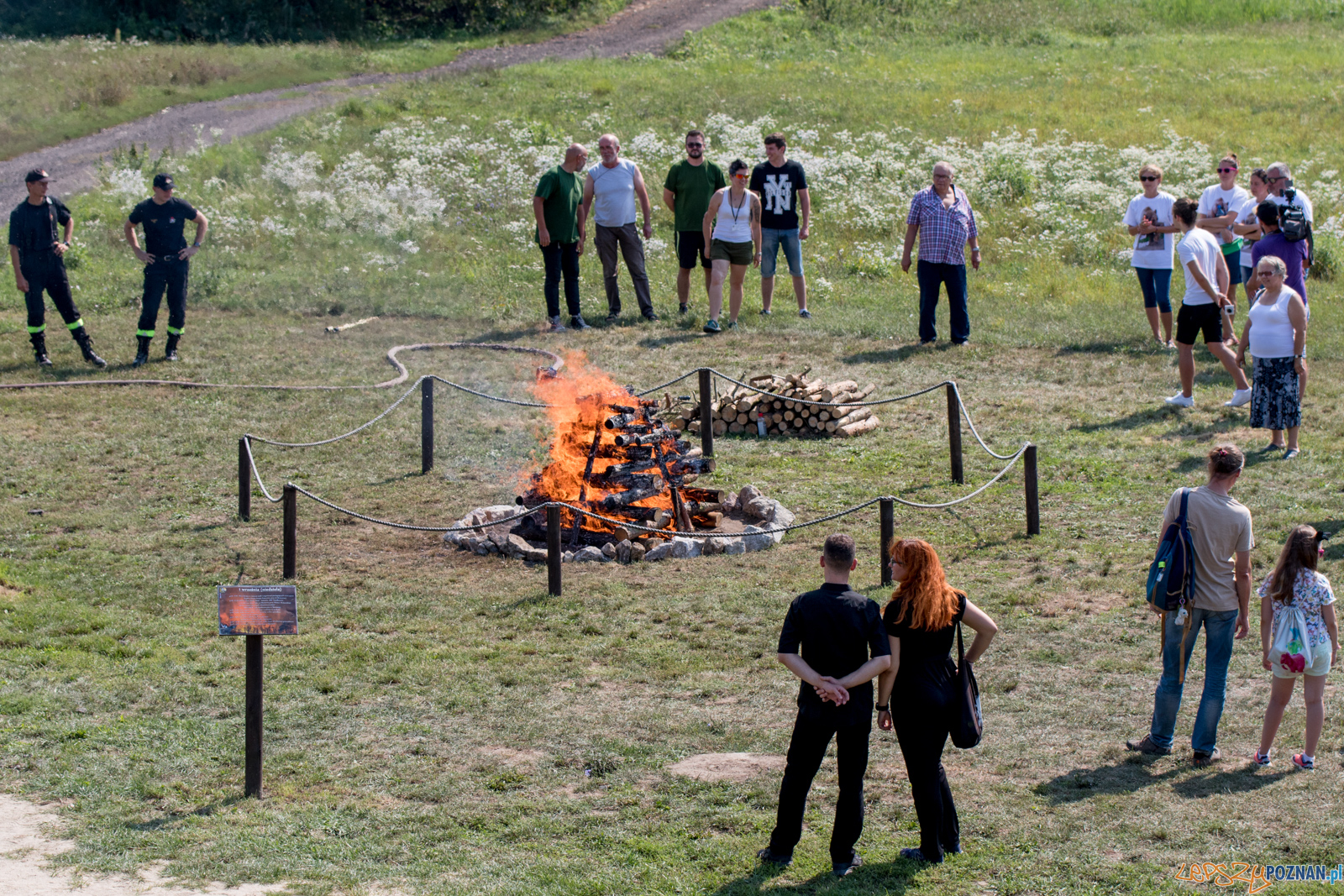 Spalenie kła słonia Ninio Foto: lepszyPOZNAN.pl / Ewelina Jaśkowiak Spalenie kła słonia Ninio Foto: lepszyPOZNAN.pl / Ewelina Jaśkowiak