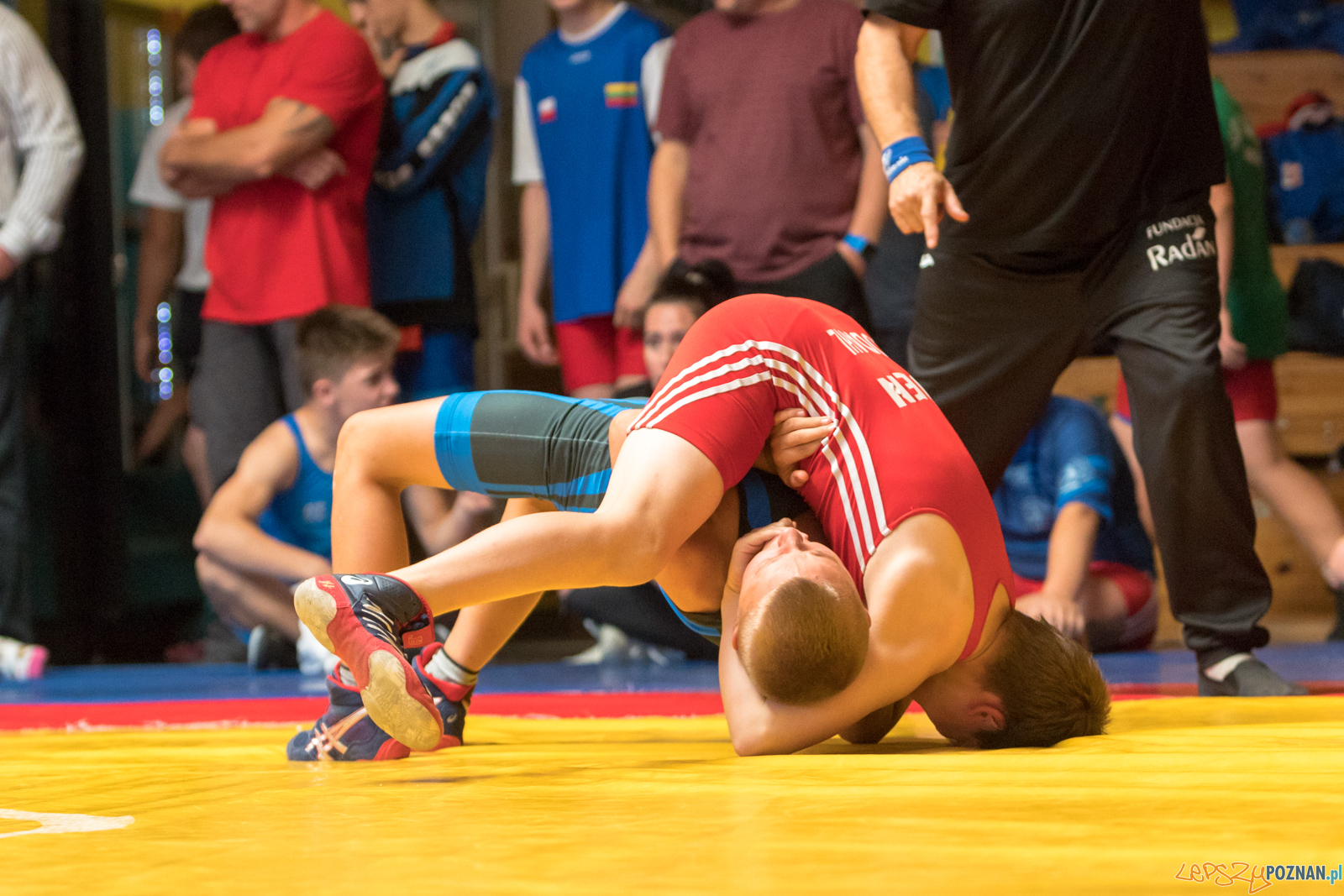 XIII Międzynarodowy Turniej Zapaśniczy
Memoriał Józefa Moczy Foto: lepszyPOZNAN.pl/Piotr Rychter XIII Międzynarodowy Turniej Zapaśniczy
Memoriał Józefa Moczy Foto: lepszyPOZNAN.pl/Piotr Rychter