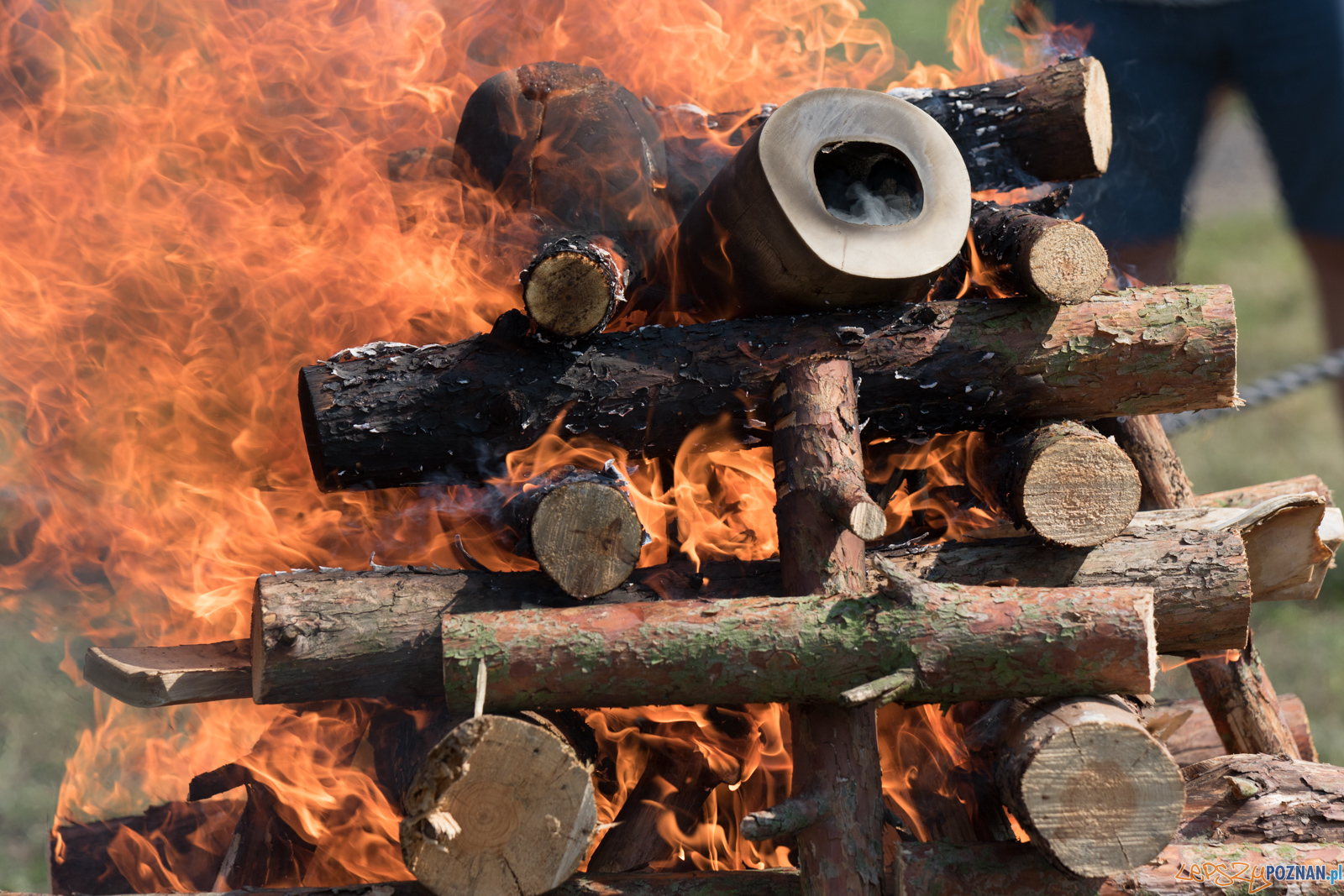 Spalenie kła słonia Ninio Foto: lepszyPOZNAN.pl / Ewelina Jaśkowiak Spalenie kła słonia Ninio Foto: lepszyPOZNAN.pl / Ewelina Jaśkowiak