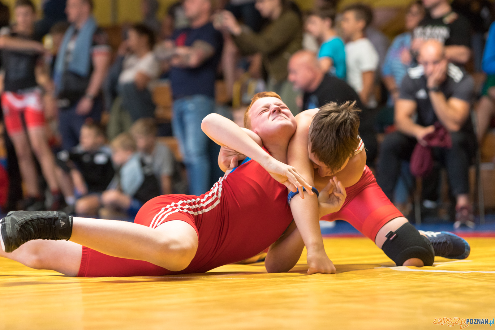 XIII Międzynarodowy Turniej Zapaśniczy
Memoriał Józefa Moczy Foto: lepszyPOZNAN.pl/Piotr Rychter XIII Międzynarodowy Turniej Zapaśniczy
Memoriał Józefa Moczy Foto: lepszyPOZNAN.pl/Piotr Rychter