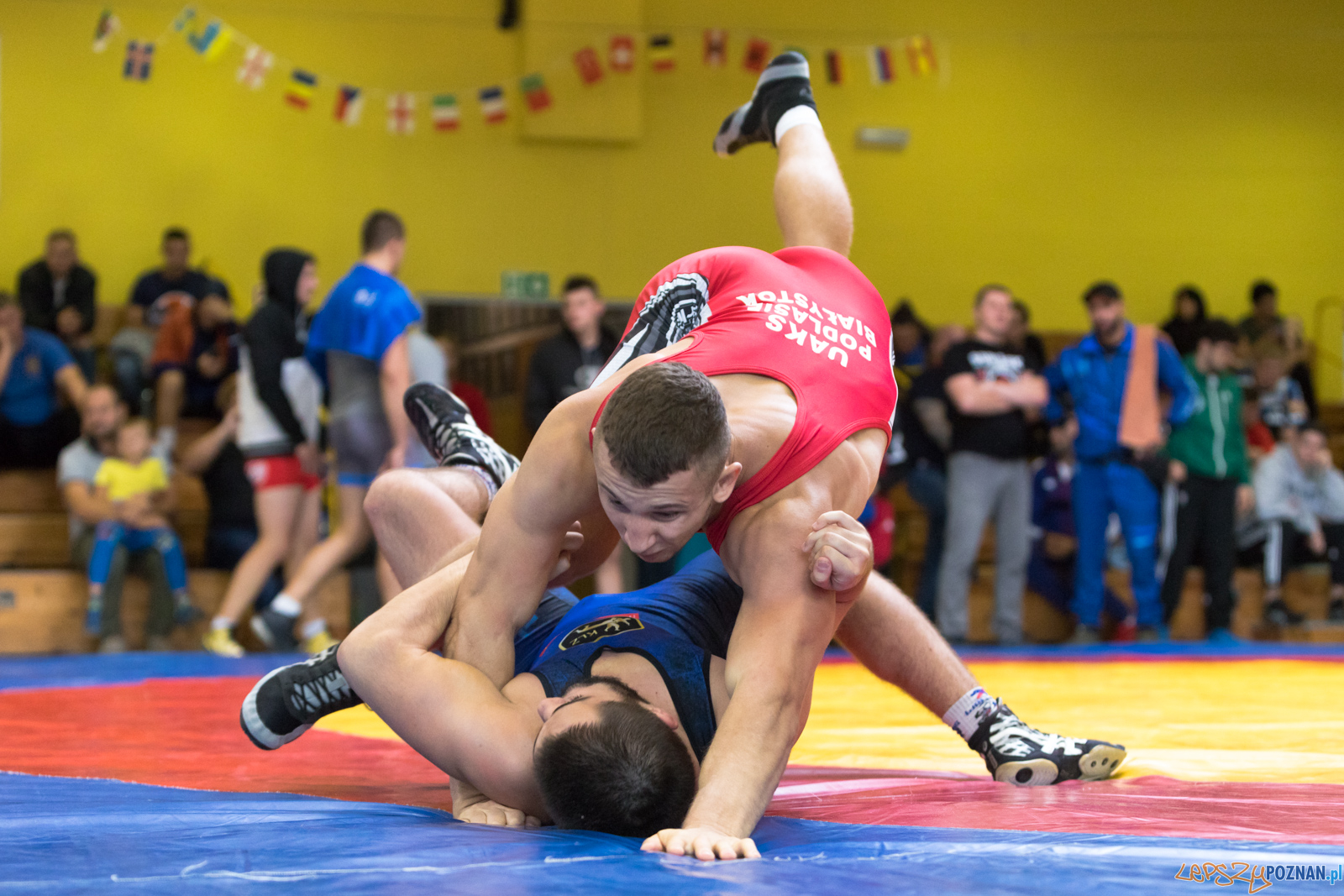 Młodzieżowe Mistrzostwa Polski Zapasy Styl Klasyczny Foto: lepszyPOZNAN.pl/Piotr Rychter Młodzieżowe Mistrzostwa Polski Zapasy Styl Klasyczny Foto: lepszyPOZNAN.pl/Piotr Rychter