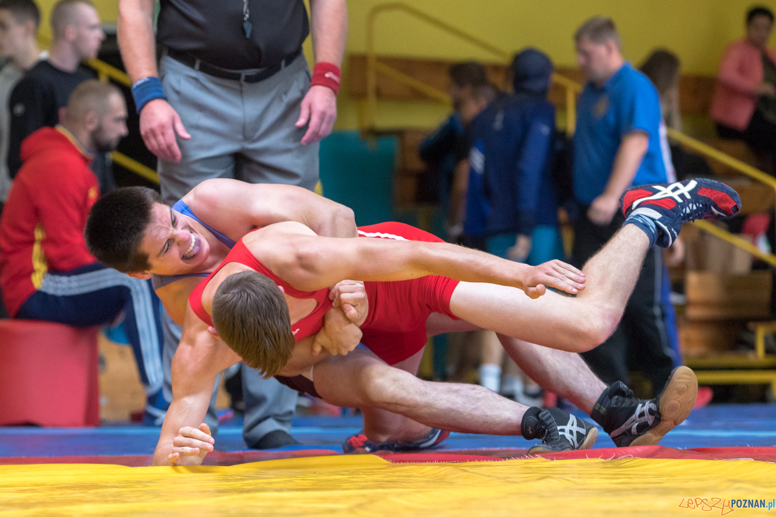 Młodzieżowe Mistrzostwa Polski Zapasy Styl Klasyczny Foto: lepszyPOZNAN.pl/Piotr Rychter Młodzieżowe Mistrzostwa Polski Zapasy Styl Klasyczny Foto: lepszyPOZNAN.pl/Piotr Rychter