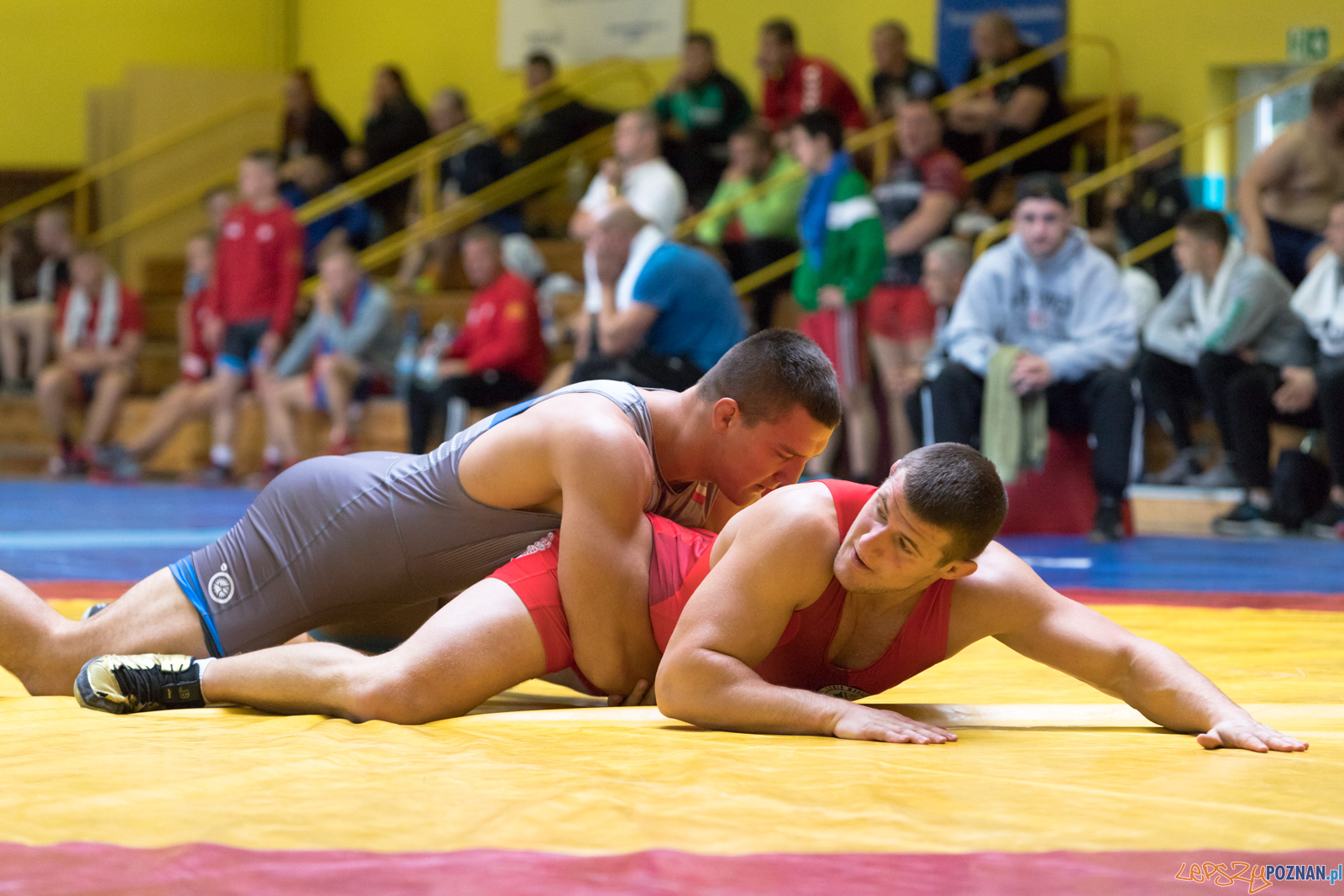 Młodzieżowe Mistrzostwa Polski Zapasy Styl Klasyczny Foto: lepszyPOZNAN.pl/Piotr Rychter Młodzieżowe Mistrzostwa Polski Zapasy Styl Klasyczny Foto: lepszyPOZNAN.pl/Piotr Rychter