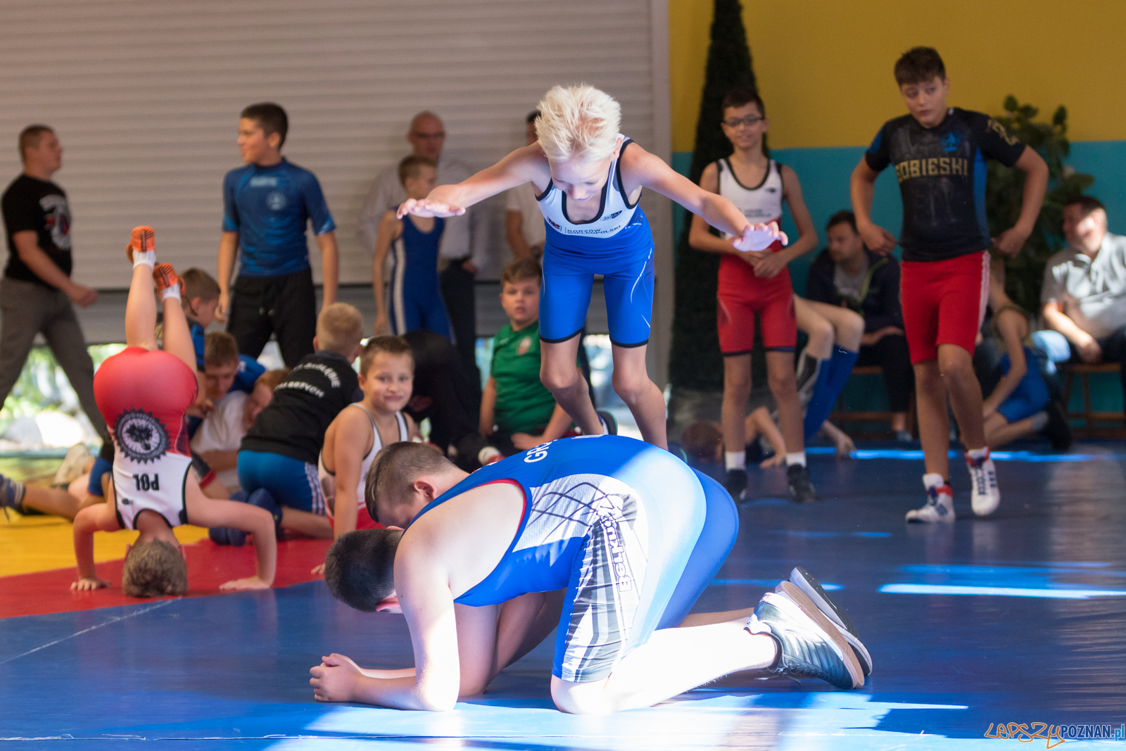 XIII Międzynarodowy Turniej Zapaśniczy
Memoriał Józefa Moczy Foto: lepszyPOZNAN.pl/Piotr Rychter XIII Międzynarodowy Turniej Zapaśniczy
Memoriał Józefa Moczy Foto: lepszyPOZNAN.pl/Piotr Rychter