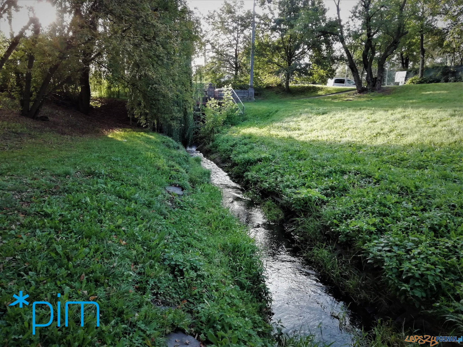 ciek Bogdanka Foto: materiały prasowe / PIM ciek Bogdanka Foto: materiały prasowe / PIM