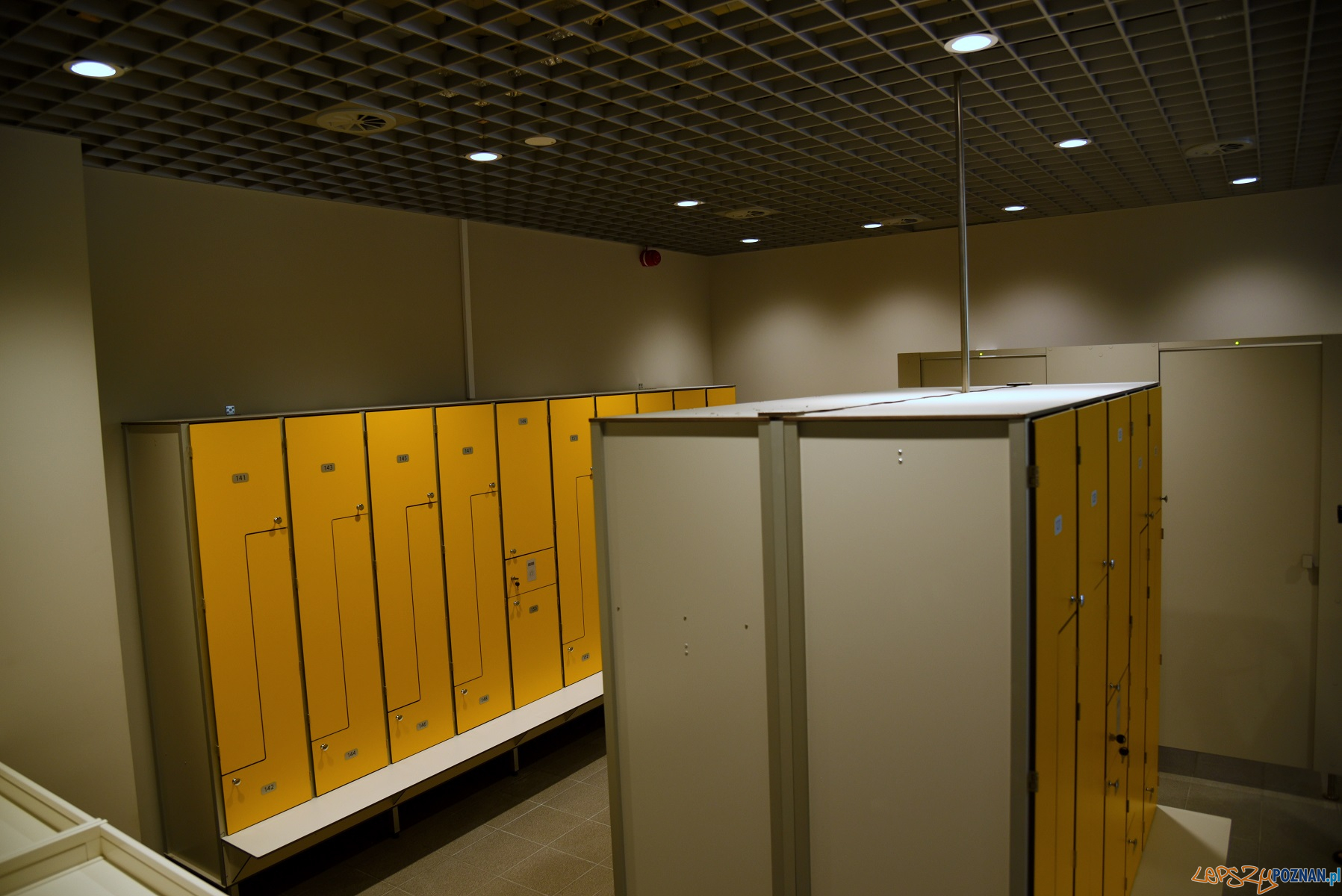 Pływalnia kryta na Ratajach Foto: materiały prasowe / UMP Pływalnia kryta na Ratajach Foto: materiały prasowe / UMP