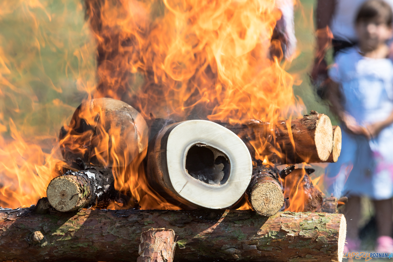 Spalenie kła Ninio Foto: lepszyPOZNAN.pl/Piotr Rychter Spalenie kła Ninio Foto: lepszyPOZNAN.pl/Piotr Rychter