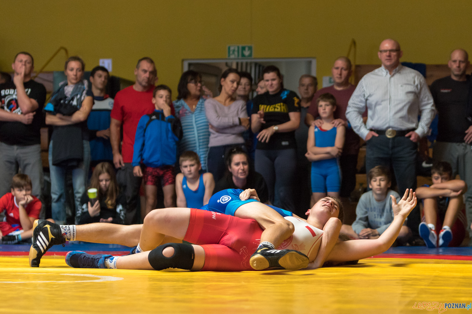 XIII Międzynarodowy Turniej Zapaśniczy
Memoriał Józefa Moczy Foto: lepszyPOZNAN.pl/Piotr Rychter XIII Międzynarodowy Turniej Zapaśniczy
Memoriał Józefa Moczy Foto: lepszyPOZNAN.pl/Piotr Rychter