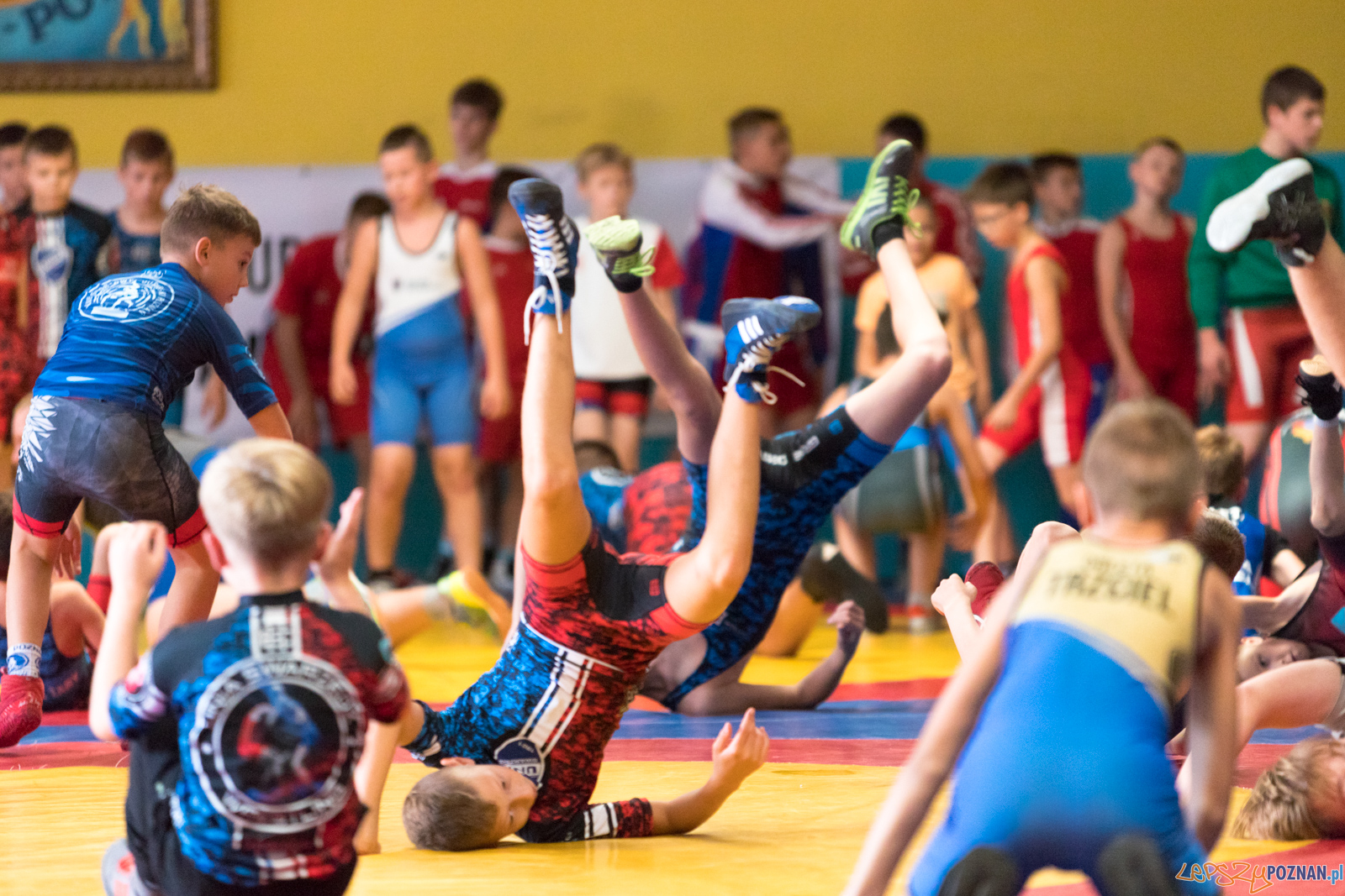 XIII Międzynarodowy Turniej Zapaśniczy
Memoriał Józefa Moczy Foto: lepszyPOZNAN.pl/Piotr Rychter XIII Międzynarodowy Turniej Zapaśniczy
Memoriał Józefa Moczy Foto: lepszyPOZNAN.pl/Piotr Rychter