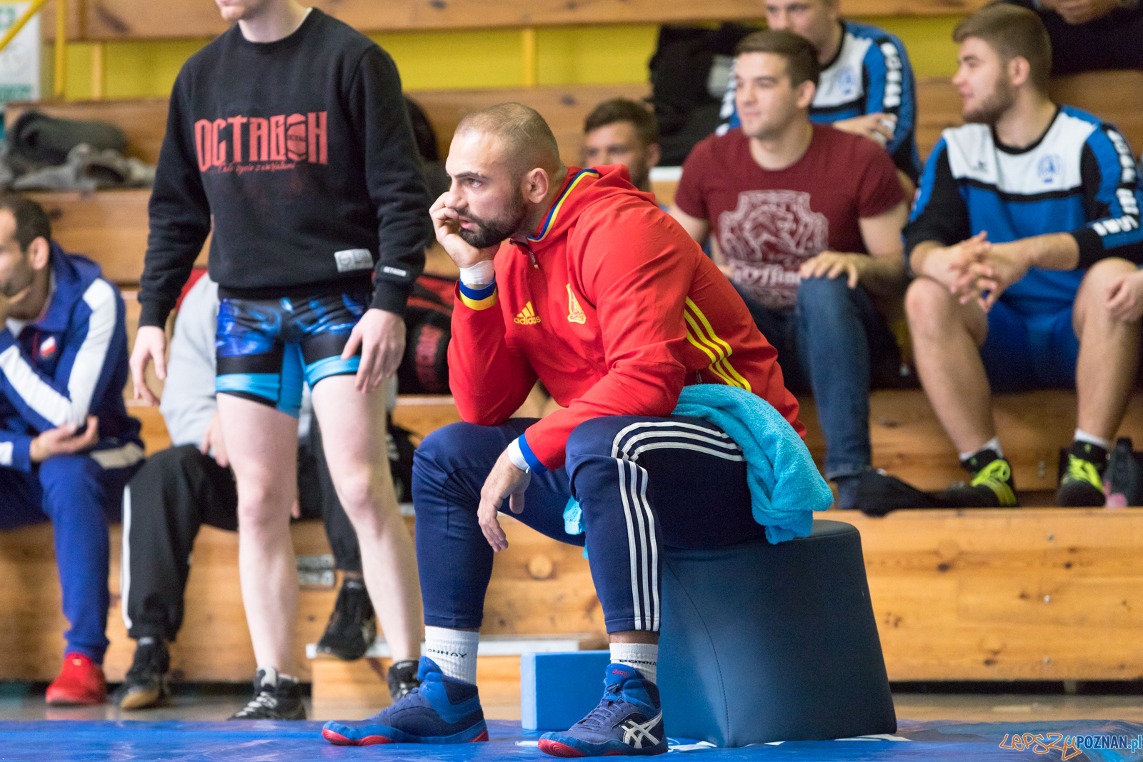 Młodzieżowe Mistrzostwa Polski Zapasy Styl Klasyczny Foto: lepszyPOZNAN.pl/Piotr Rychter Młodzieżowe Mistrzostwa Polski Zapasy Styl Klasyczny Foto: lepszyPOZNAN.pl/Piotr Rychter