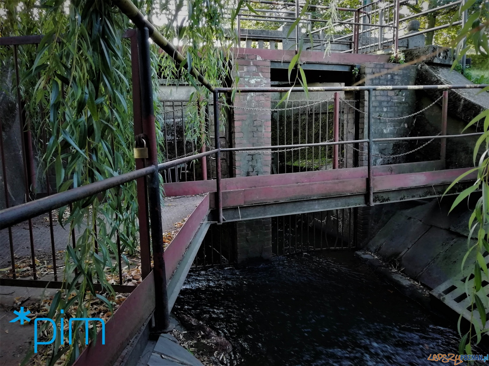 ciek Bogdanka Foto: materiały prasowe / PIM ciek Bogdanka Foto: materiały prasowe / PIM