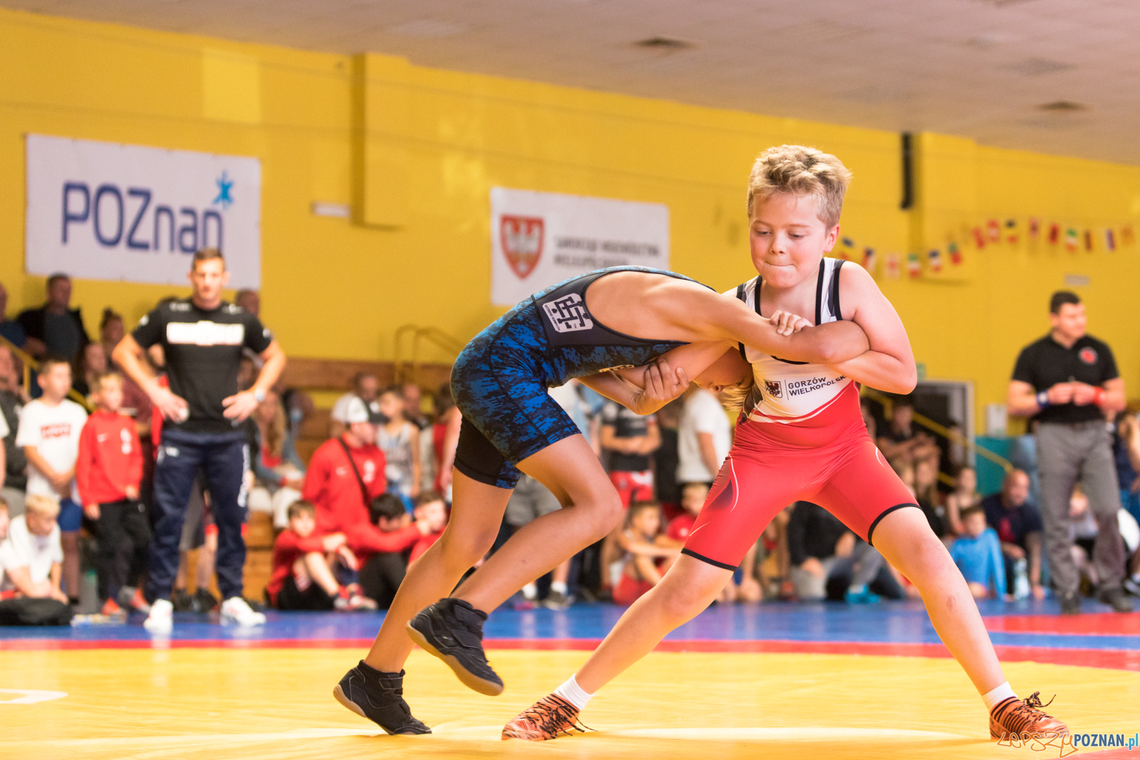 XIII Międzynarodowy Turniej Zapaśniczy
Memoriał Józefa Moczy Foto: lepszyPOZNAN.pl/Piotr Rychter XIII Międzynarodowy Turniej Zapaśniczy
Memoriał Józefa Moczy Foto: lepszyPOZNAN.pl/Piotr Rychter