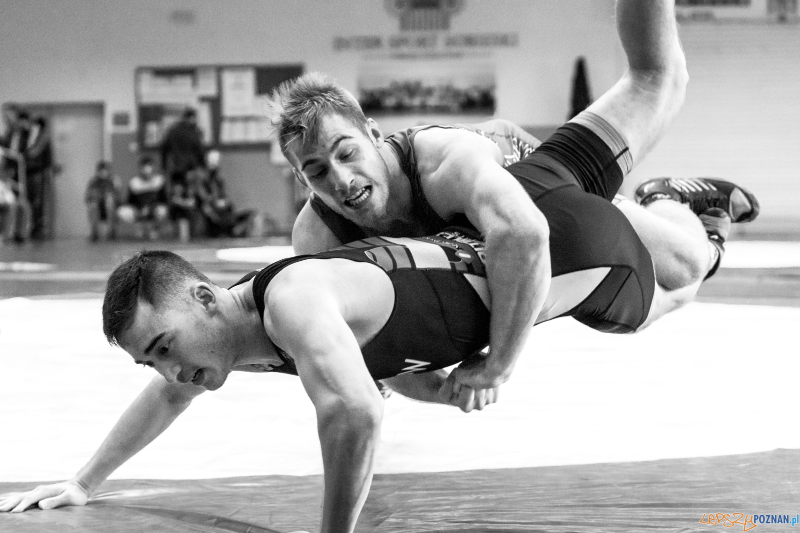 Młodzieżowe Mistrzostwa Polski Zapasy Styl Klasyczny Foto: lepszyPOZNAN.pl/Piotr Rychter Młodzieżowe Mistrzostwa Polski Zapasy Styl Klasyczny Foto: lepszyPOZNAN.pl/Piotr Rychter