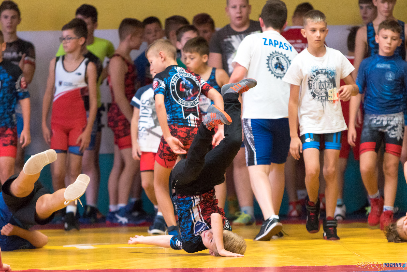 XIII Międzynarodowy Turniej ZapaśniczyMemoriał Józefa Moczy Foto: lepszyPOZNAN.pl/Piotr Rychter XIII Międzynarodowy Turniej ZapaśniczyMemoriał Józefa Moczy Foto: lepszyPOZNAN.pl/Piotr Rychter