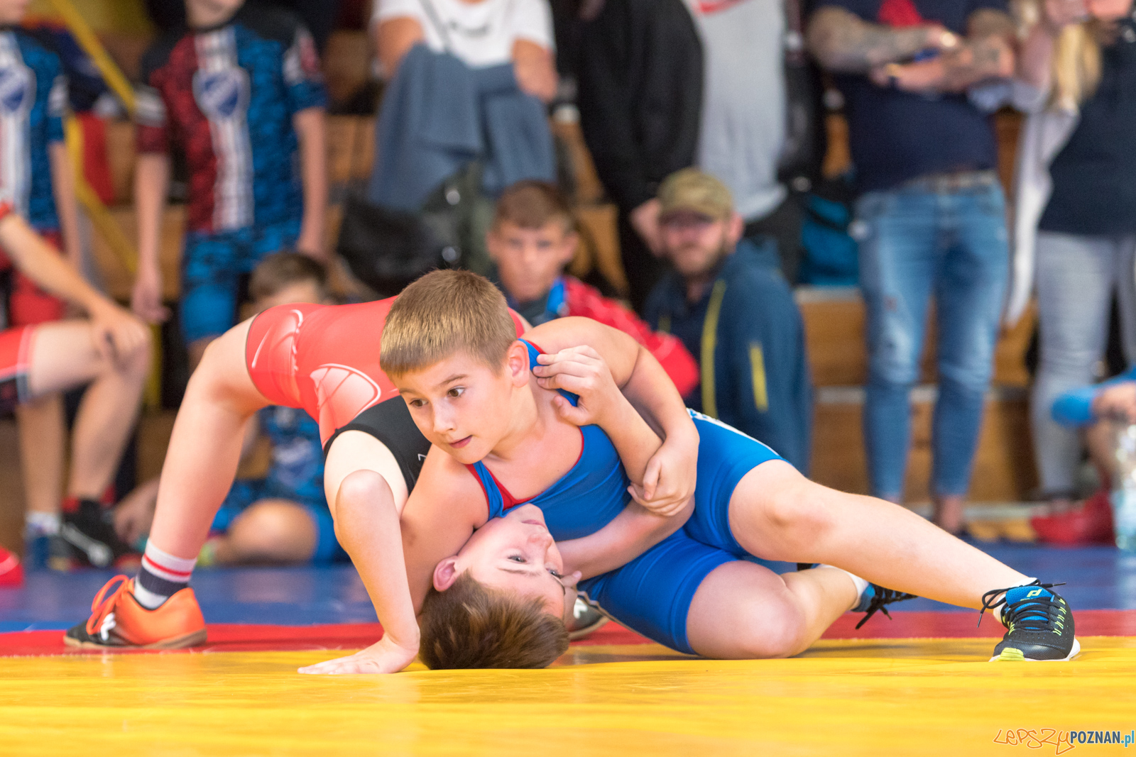 XIII Międzynarodowy Turniej Zapaśniczy
Memoriał Józefa Moczy Foto: lepszyPOZNAN.pl/Piotr Rychter XIII Międzynarodowy Turniej Zapaśniczy
Memoriał Józefa Moczy Foto: lepszyPOZNAN.pl/Piotr Rychter