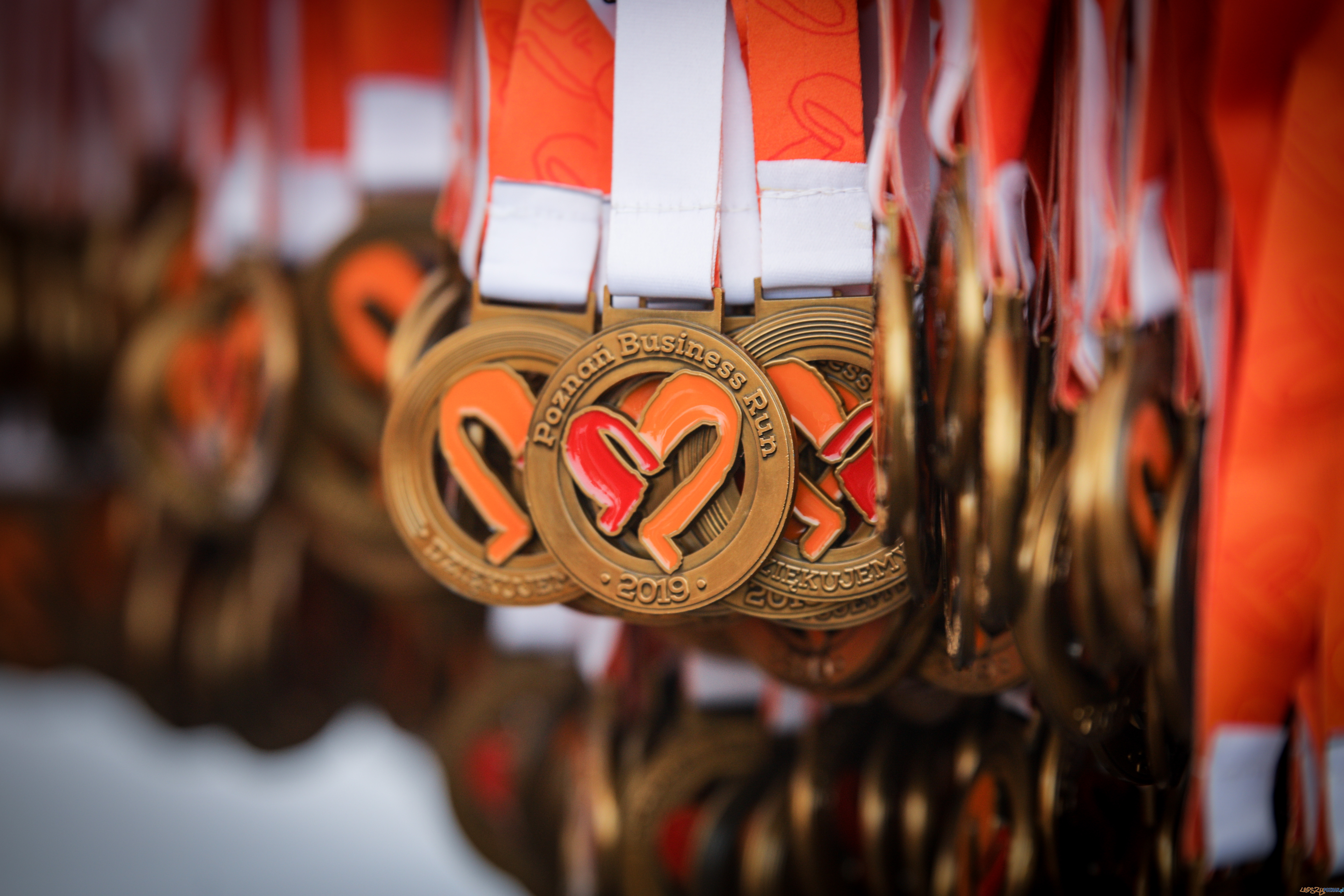 Poznań Business Run Foto: materiały prasowe Poznań Business Run Foto: materiały prasowe