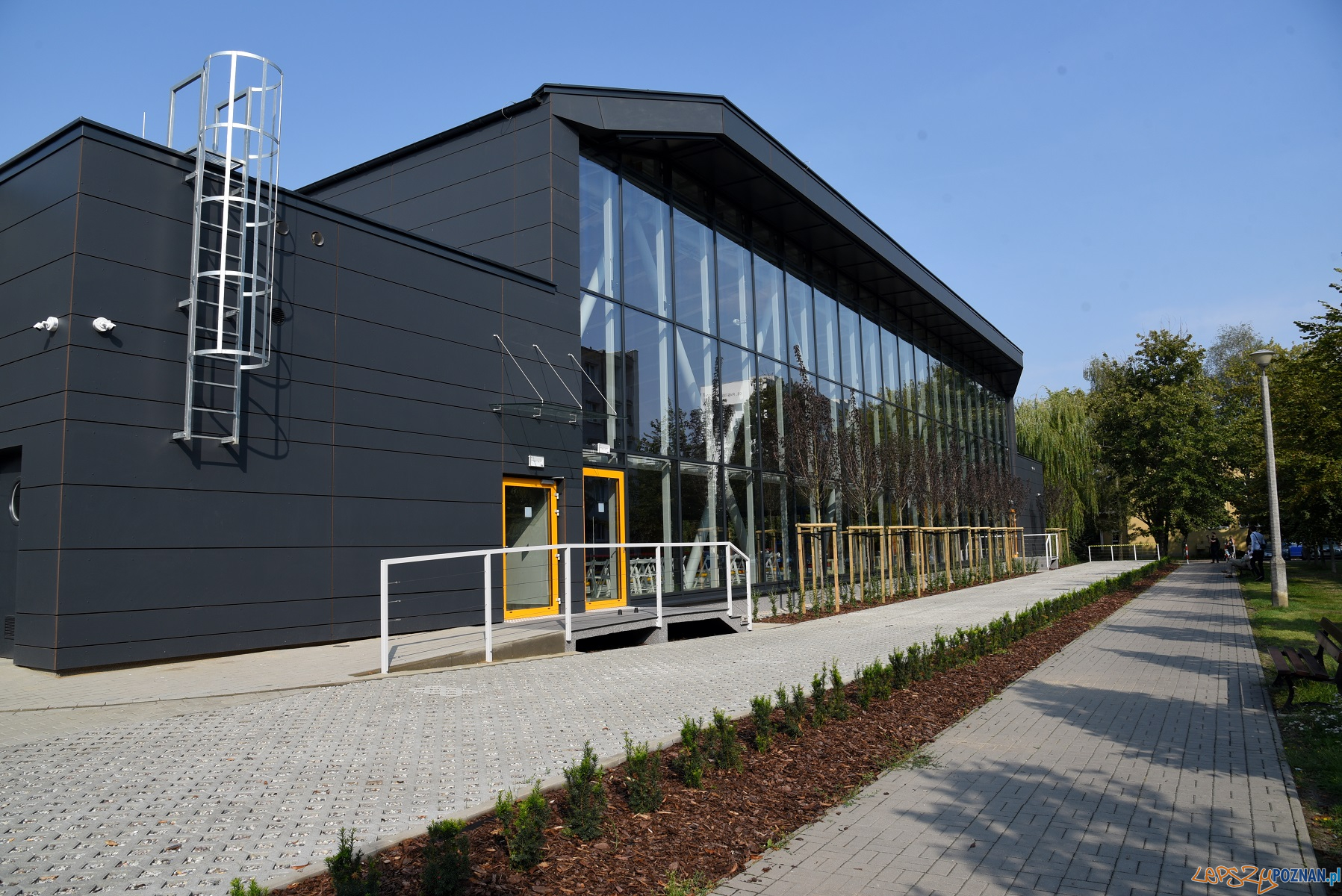 Pływalnia kryta na Ratajach Foto: materiały prasowe / UMP Pływalnia kryta na Ratajach Foto: materiały prasowe / UMP