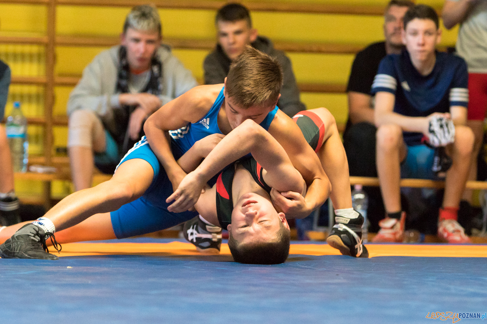 XIII Międzynarodowy Turniej Zapaśniczy
Memoriał Józefa Moczy Foto: lepszyPOZNAN.pl/Piotr Rychter XIII Międzynarodowy Turniej Zapaśniczy
Memoriał Józefa Moczy Foto: lepszyPOZNAN.pl/Piotr Rychter