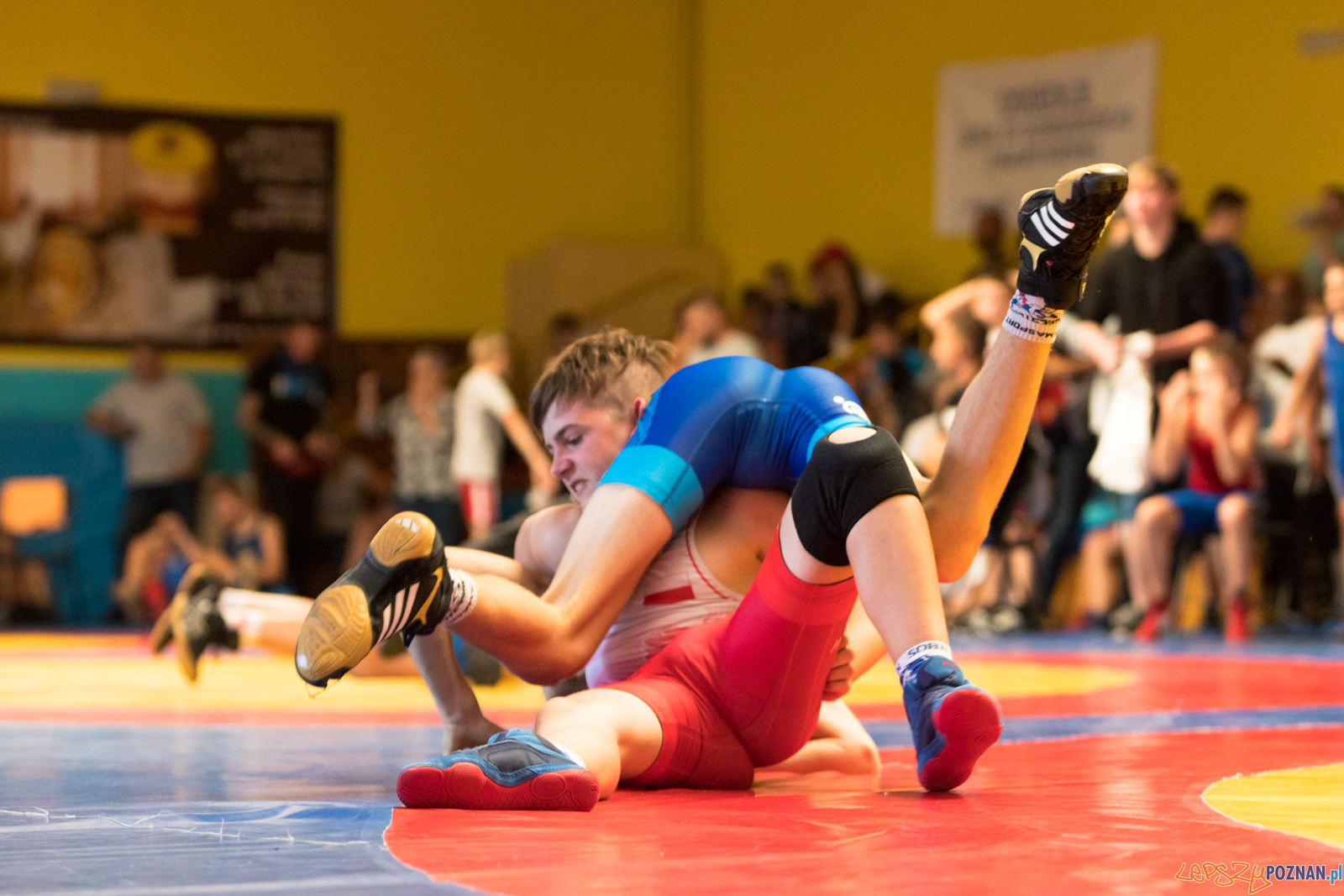 XIII Międzynarodowy Turniej Zapaśniczy
Memoriał Józefa Moczy Foto: lepszyPOZNAN.pl/Piotr Rychter XIII Międzynarodowy Turniej Zapaśniczy
Memoriał Józefa Moczy Foto: lepszyPOZNAN.pl/Piotr Rychter