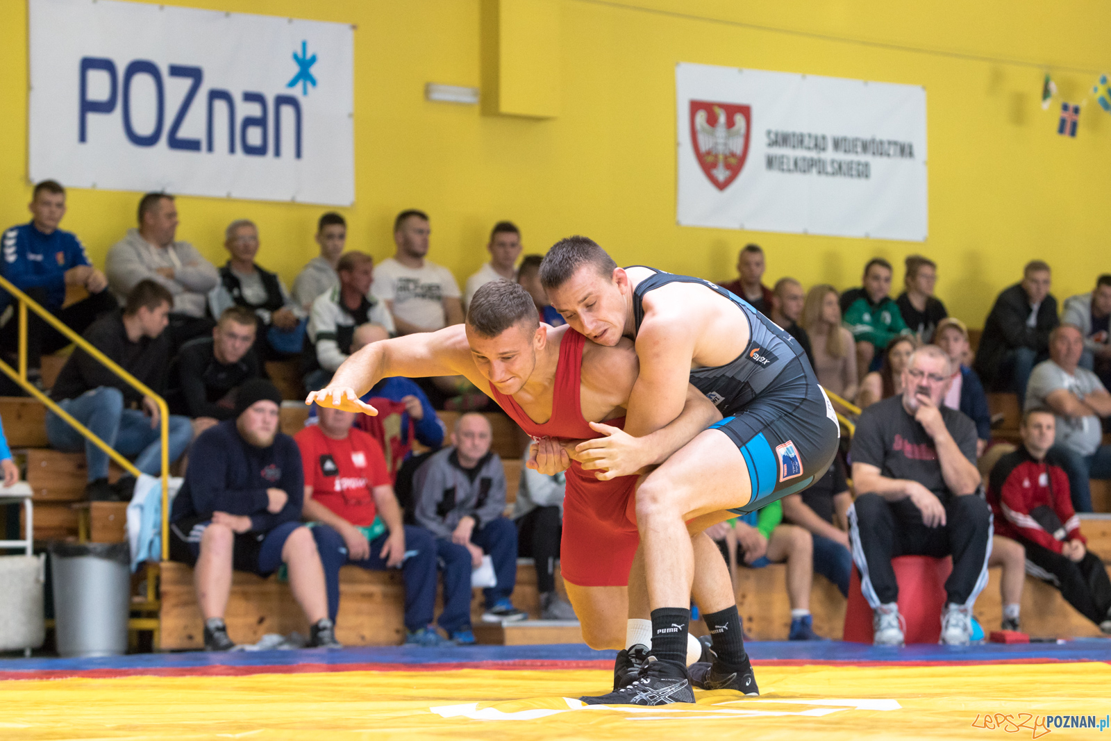 Młodzieżowe Mistrzostwa Polski Zapasy Styl Klasyczny Foto: lepszyPOZNAN.pl/Piotr Rychter Młodzieżowe Mistrzostwa Polski Zapasy Styl Klasyczny Foto: lepszyPOZNAN.pl/Piotr Rychter