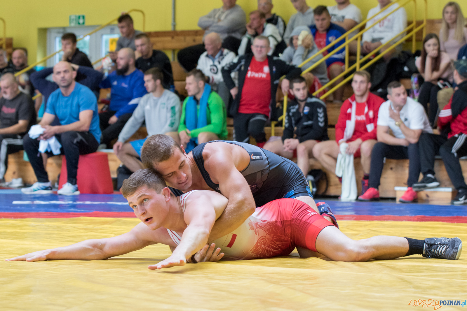 Młodzieżowe Mistrzostwa Polski Zapasy Styl Klasyczny Poznań I Foto: lepszyPOZNAN.pl / Ewelina Jaśkowiak Młodzieżowe Mistrzostwa Polski Zapasy Styl Klasyczny Poznań I Foto: lepszyPOZNAN.pl / Ewelina Jaśkowiak