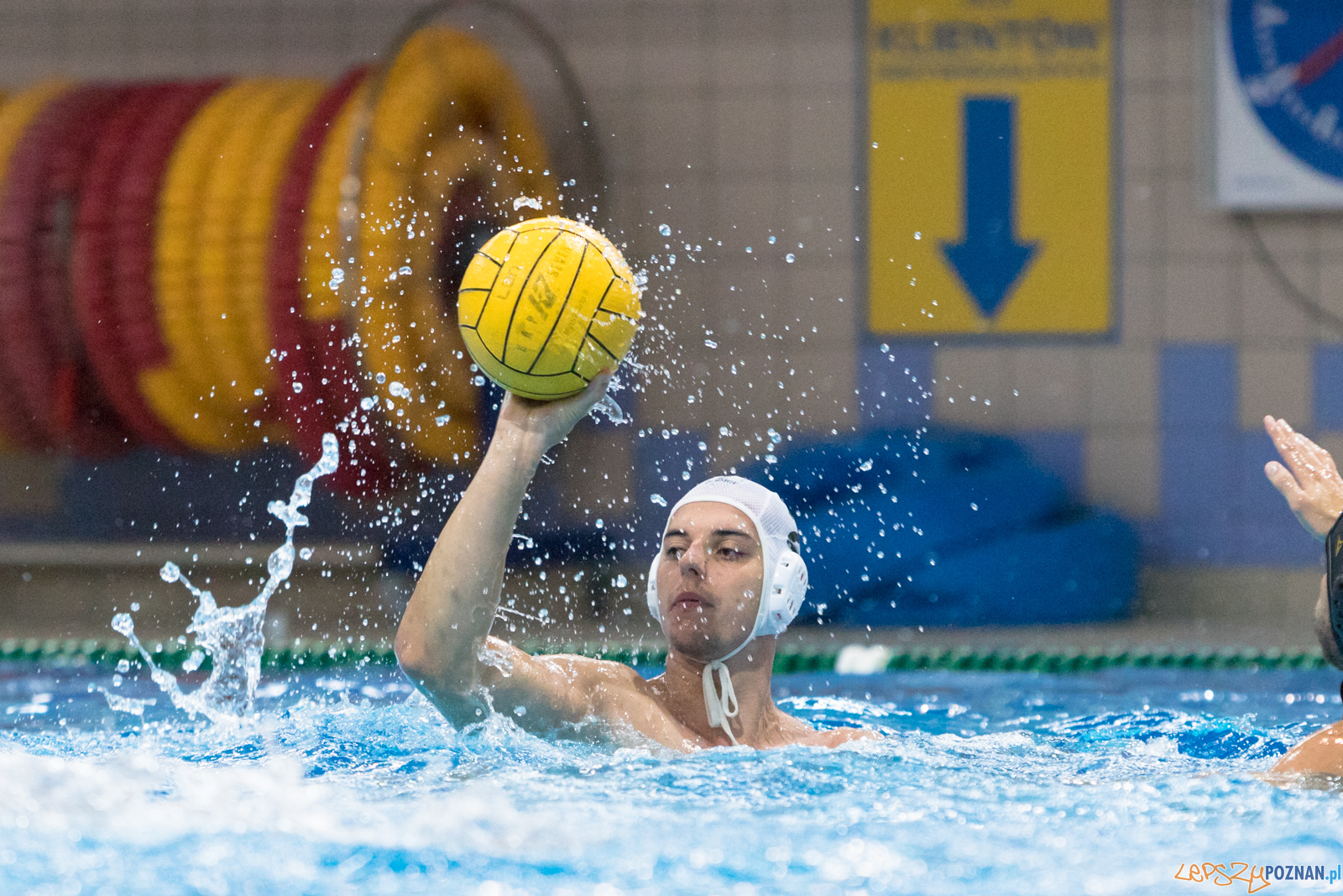 Waterpolo Cup 2019 - Waterpolo Poznań - Alfa Gorzów Wielkopols Foto: lepszyPOZNAN.pl/Piotr Rychter Waterpolo Cup 2019 - Waterpolo Poznań - Alfa Gorzów Wielkopols Foto: lepszyPOZNAN.pl/Piotr Rychter