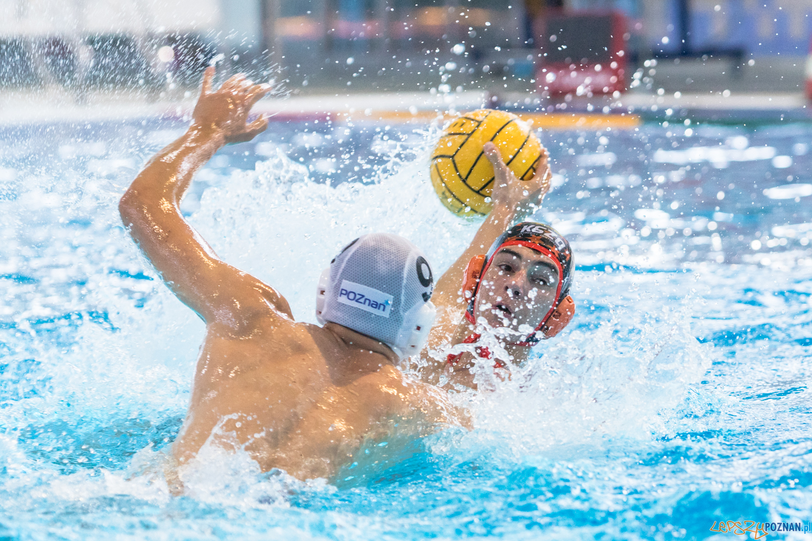 Waterpolo Cup 2019 - Alfa Gorzów Wielkopolski - KSZO Ostrowiec Foto: lepszyPOZNAN.pl/Piotr Rychter Waterpolo Cup 2019 - Alfa Gorzów Wielkopolski - KSZO Ostrowiec Foto: lepszyPOZNAN.pl/Piotr Rychter