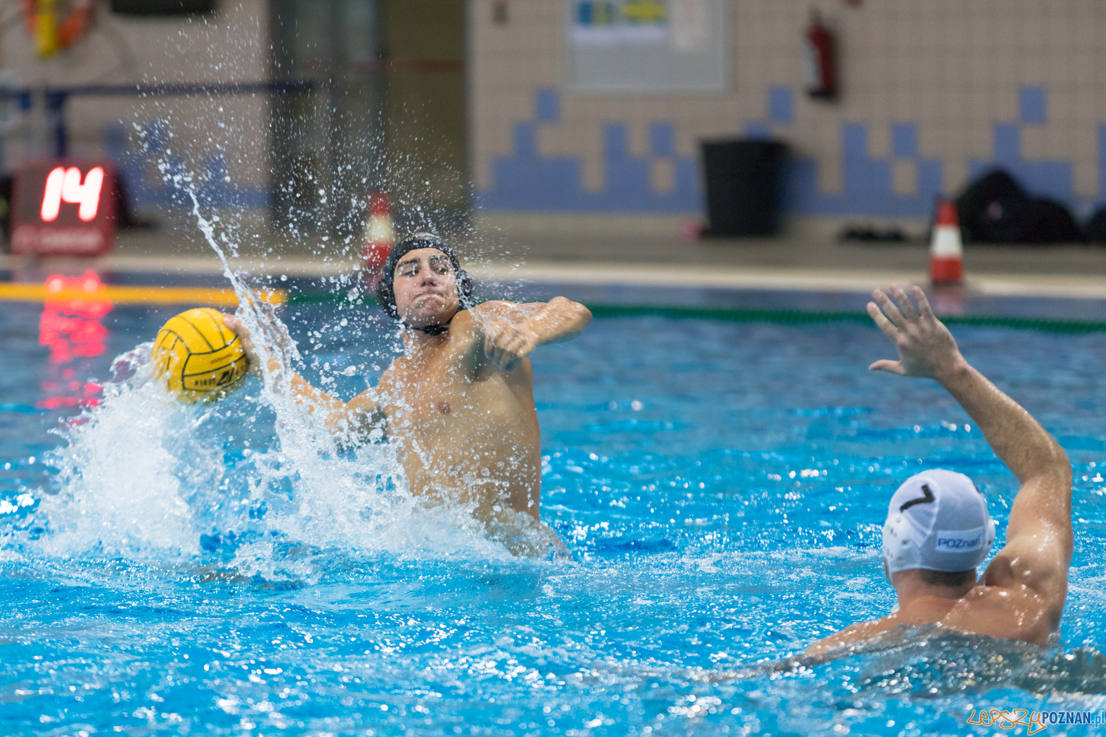 Waterpolo Cup 2019 - Waterpolo Poznań - Alfa Gorzów Wielkopols Foto: lepszyPOZNAN.pl/Piotr Rychter Waterpolo Cup 2019 - Waterpolo Poznań - Alfa Gorzów Wielkopols Foto: lepszyPOZNAN.pl/Piotr Rychter