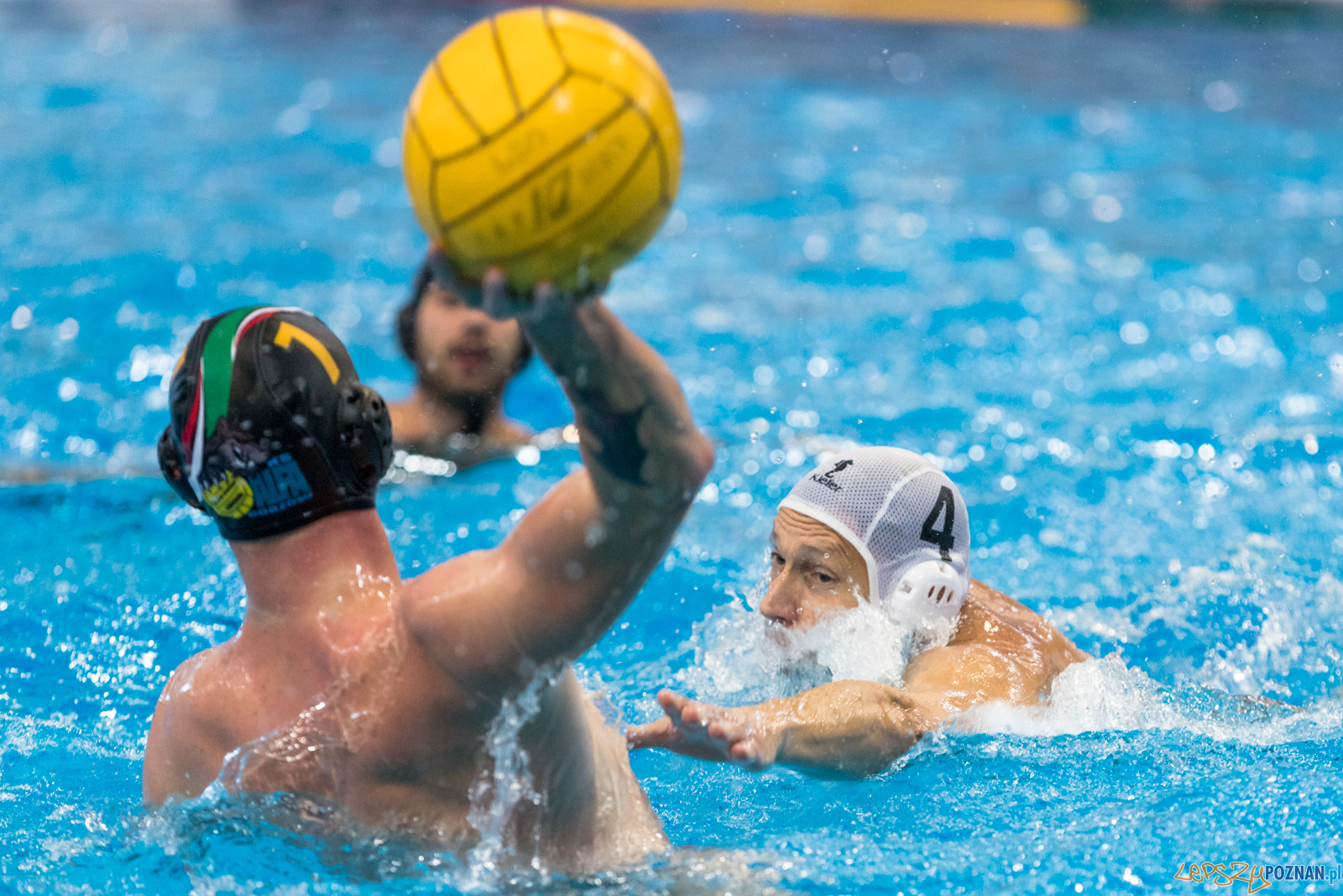 Waterpolo Cup 2019 - Waterpolo Poznań - Alfa Gorzów Wielkopols Foto: lepszyPOZNAN.pl/Piotr Rychter Waterpolo Cup 2019 - Waterpolo Poznań - Alfa Gorzów Wielkopols Foto: lepszyPOZNAN.pl/Piotr Rychter