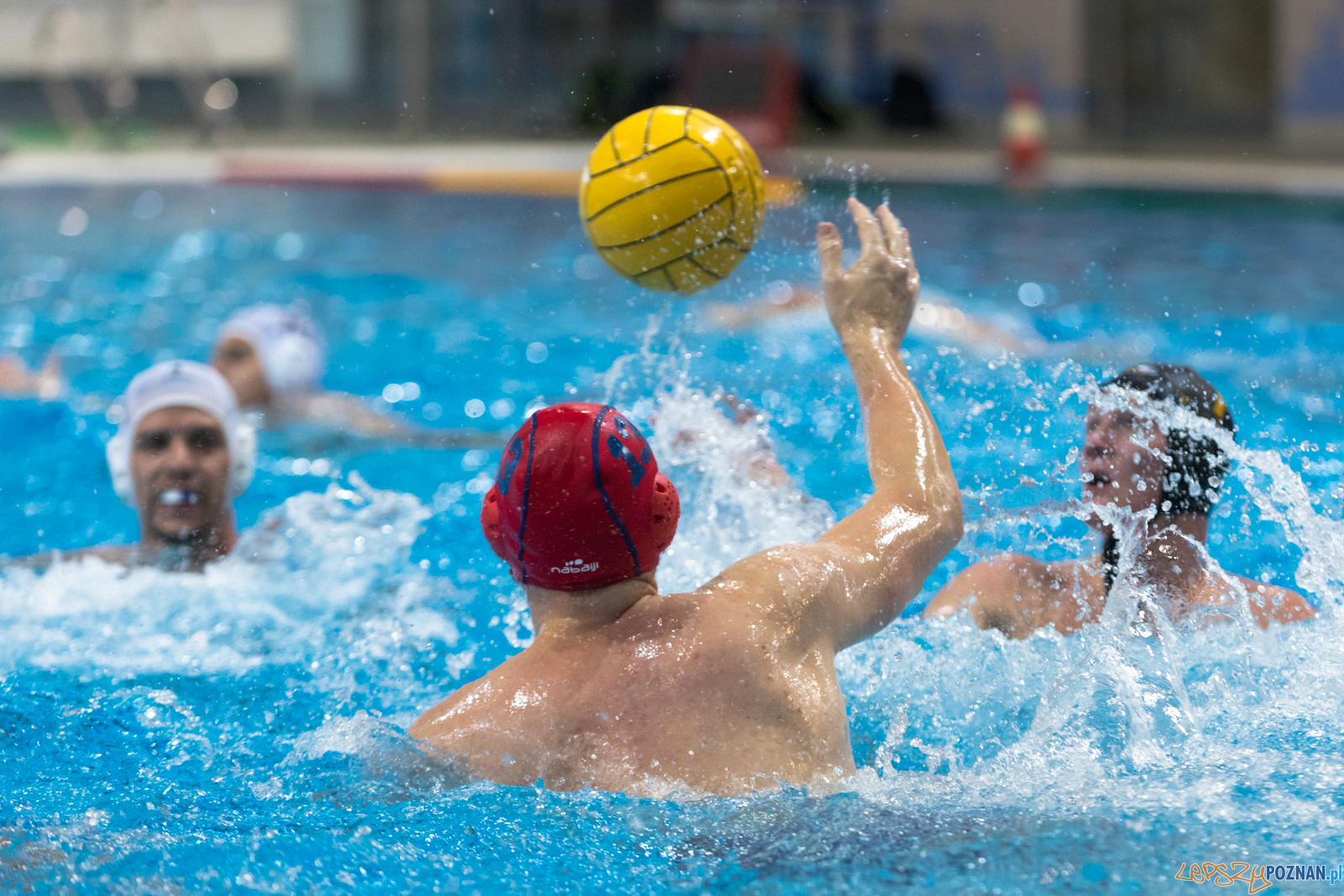 Waterpolo Cup 2019 - Waterpolo Poznań - Alfa Gorzów Wielkopols Foto: lepszyPOZNAN.pl/Piotr Rychter Waterpolo Cup 2019 - Waterpolo Poznań - Alfa Gorzów Wielkopols Foto: lepszyPOZNAN.pl/Piotr Rychter