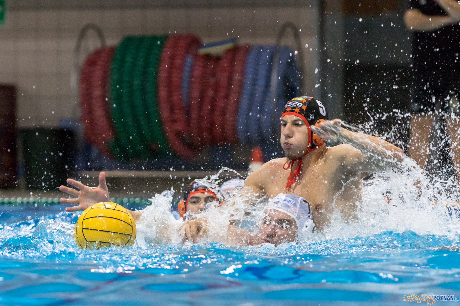 Waterpolo Cup 2019 - Waterpolo Poznań - KSZO Ostrowiec Święto Foto: lepszyPOZNAN.pl/Piotr Rychter Waterpolo Cup 2019 - Waterpolo Poznań - KSZO Ostrowiec Święto Foto: lepszyPOZNAN.pl/Piotr Rychter