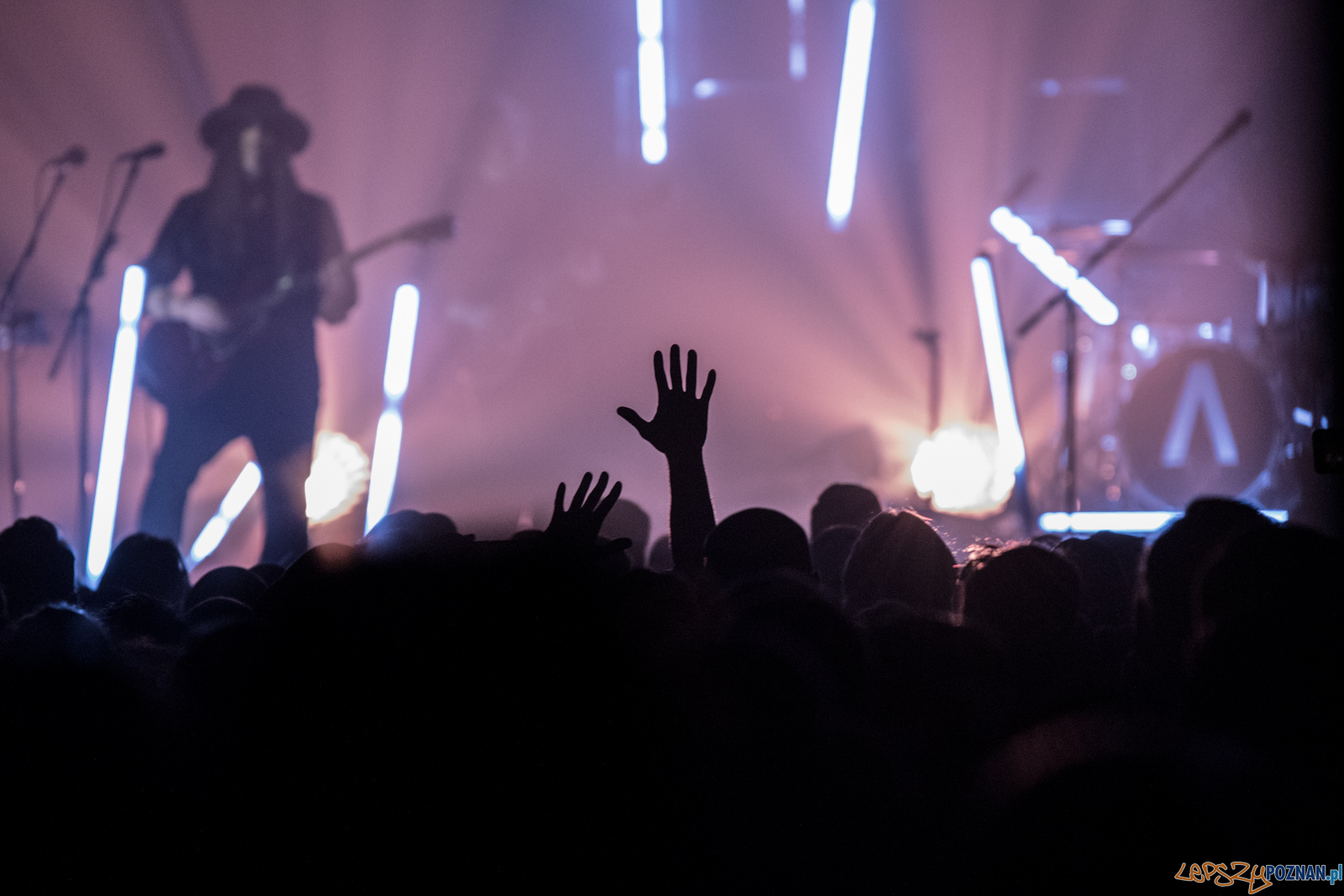 Archive Foto: lepszyPOZNAN.pl / Ewelina Jaśkowiak Archive Foto: lepszyPOZNAN.pl / Ewelina Jaśkowiak