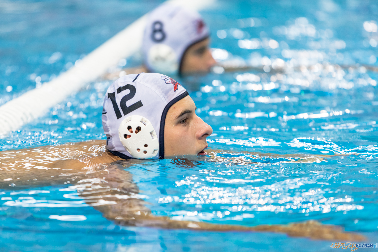 Waterpolo Cup 2019 - Hornets Koszyce - Alfa Gorzów Wielkopolski Foto: lepszyPOZNAN.pl/Piotr Rychter Waterpolo Cup 2019 - Hornets Koszyce - Alfa Gorzów Wielkopolski Foto: lepszyPOZNAN.pl/Piotr Rychter