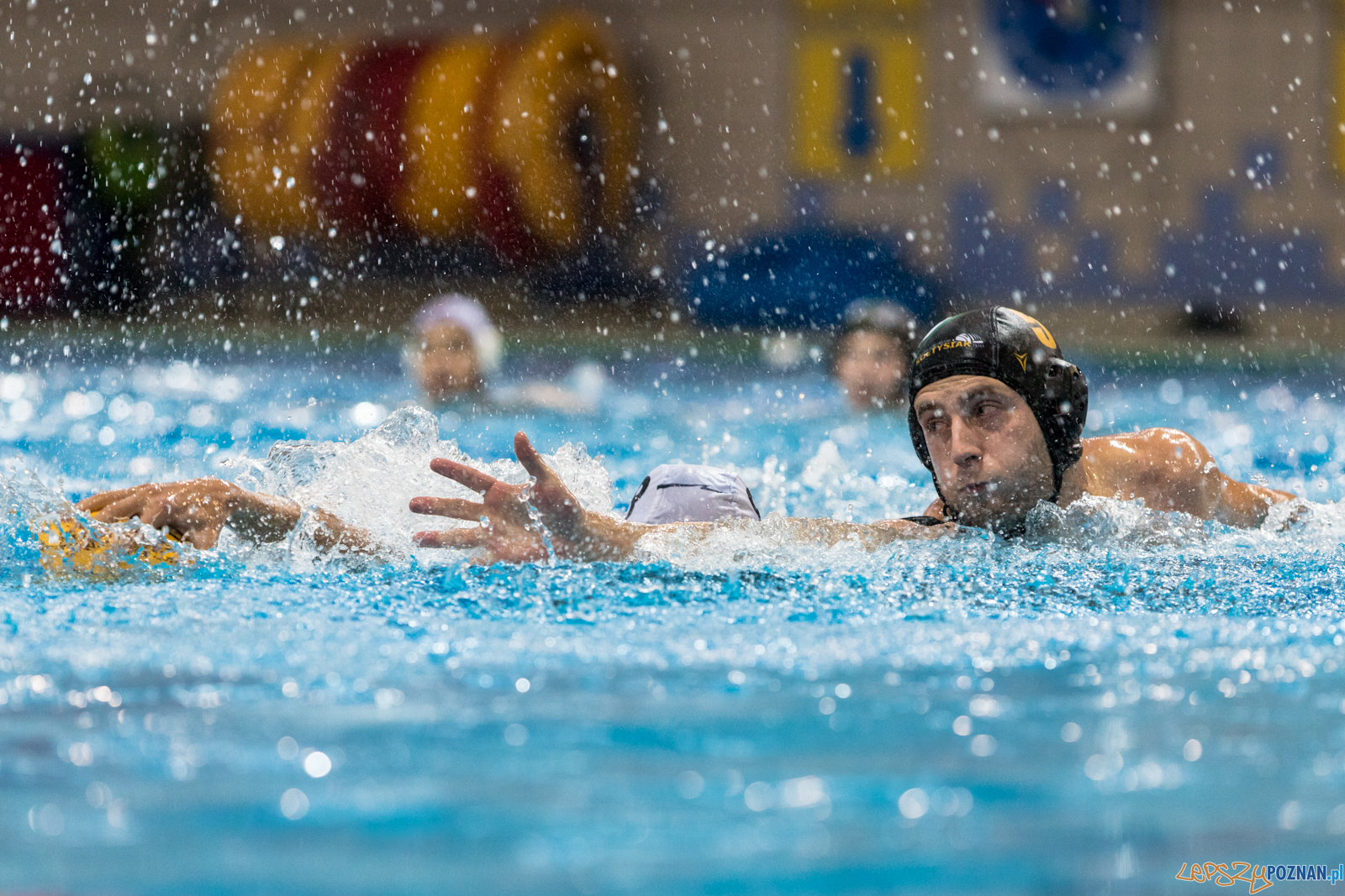 Waterpolo Cup 2019 - Hornets Koszyce - Alfa Gorzów Wielkopolski Foto: lepszyPOZNAN.pl/Piotr Rychter Waterpolo Cup 2019 - Hornets Koszyce - Alfa Gorzów Wielkopolski Foto: lepszyPOZNAN.pl/Piotr Rychter