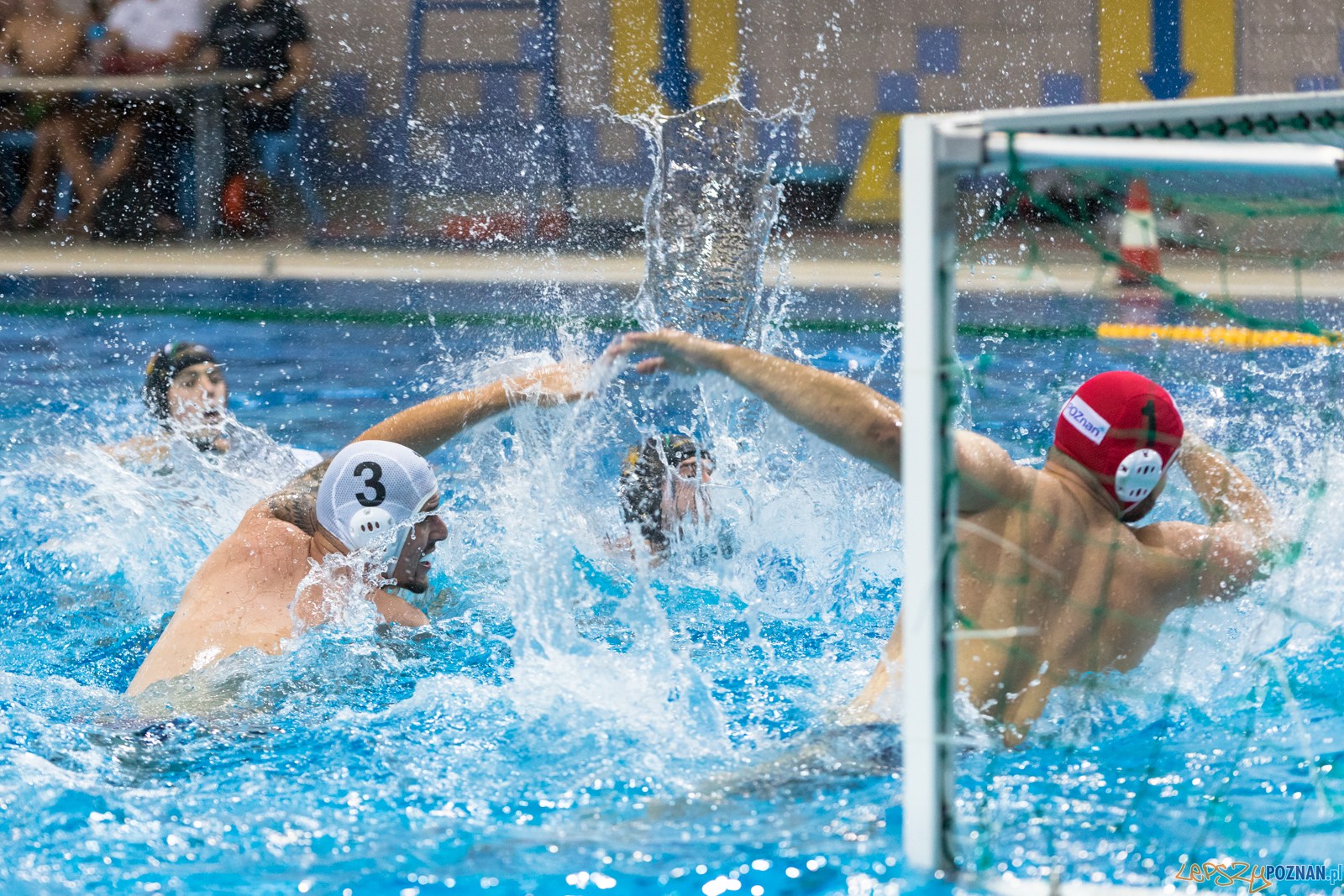 Waterpolo Cup 2019 - Waterpolo Poznań - Alfa Gorzów Wielkopols Foto: lepszyPOZNAN.pl/Piotr Rychter Waterpolo Cup 2019 - Waterpolo Poznań - Alfa Gorzów Wielkopols Foto: lepszyPOZNAN.pl/Piotr Rychter