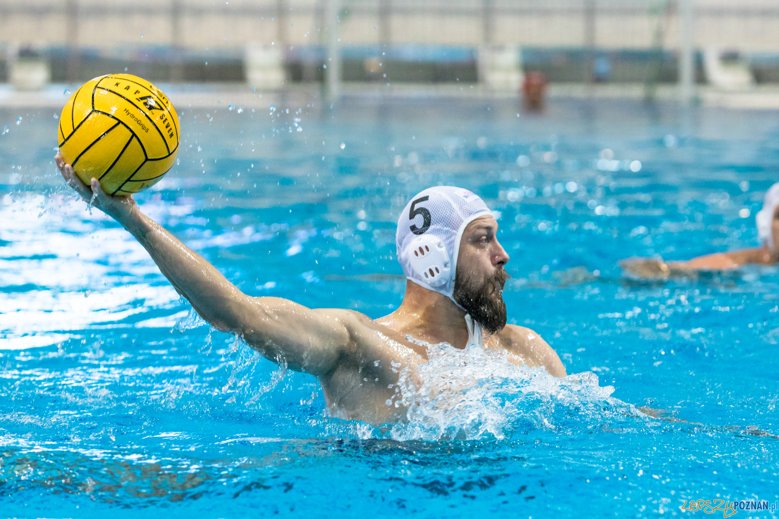 Waterpolo Cup 2019 - Waterpolo Poznań - KSZO Ostrowiec Święto Foto: lepszyPOZNAN.pl/Piotr Rychter Waterpolo Cup 2019 - Waterpolo Poznań - KSZO Ostrowiec Święto Foto: lepszyPOZNAN.pl/Piotr Rychter