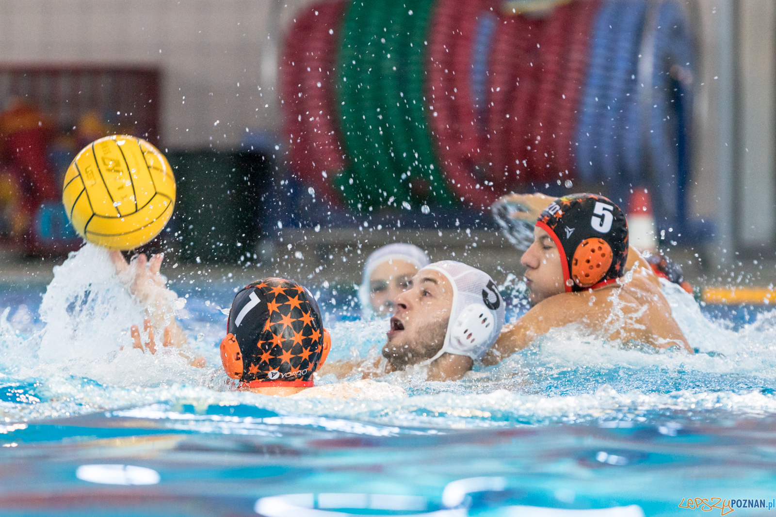 Waterpolo Cup 2019 - Alfa Gorzów Wielkopolski - KSZO Ostrowiec Foto: lepszyPOZNAN.pl/Piotr Rychter Waterpolo Cup 2019 - Alfa Gorzów Wielkopolski - KSZO Ostrowiec Foto: lepszyPOZNAN.pl/Piotr Rychter