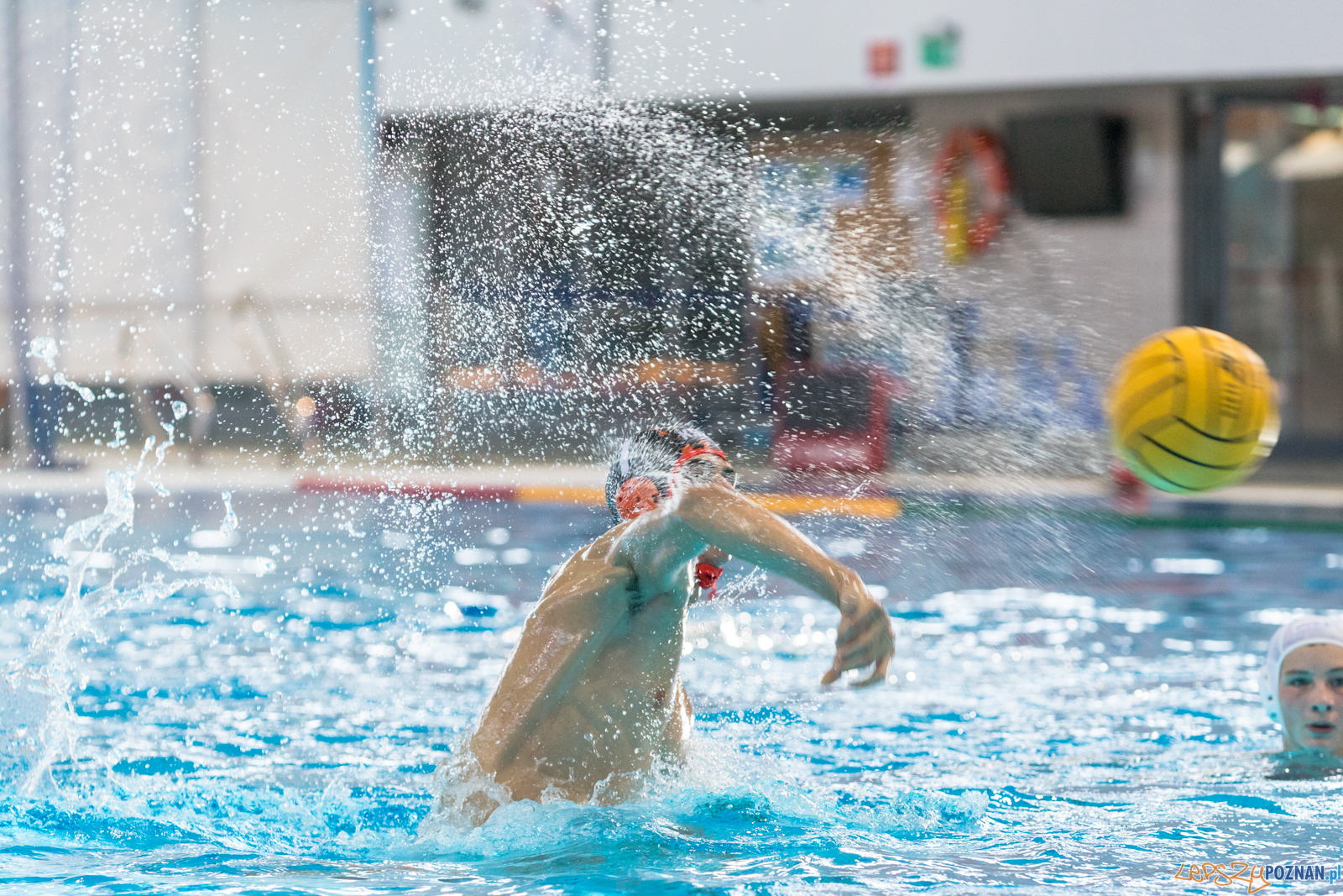 Waterpolo Cup 2019 - Alfa Gorzów Wielkopolski - KSZO Ostrowiec Foto: lepszyPOZNAN.pl/Piotr Rychter Waterpolo Cup 2019 - Alfa Gorzów Wielkopolski - KSZO Ostrowiec Foto: lepszyPOZNAN.pl/Piotr Rychter