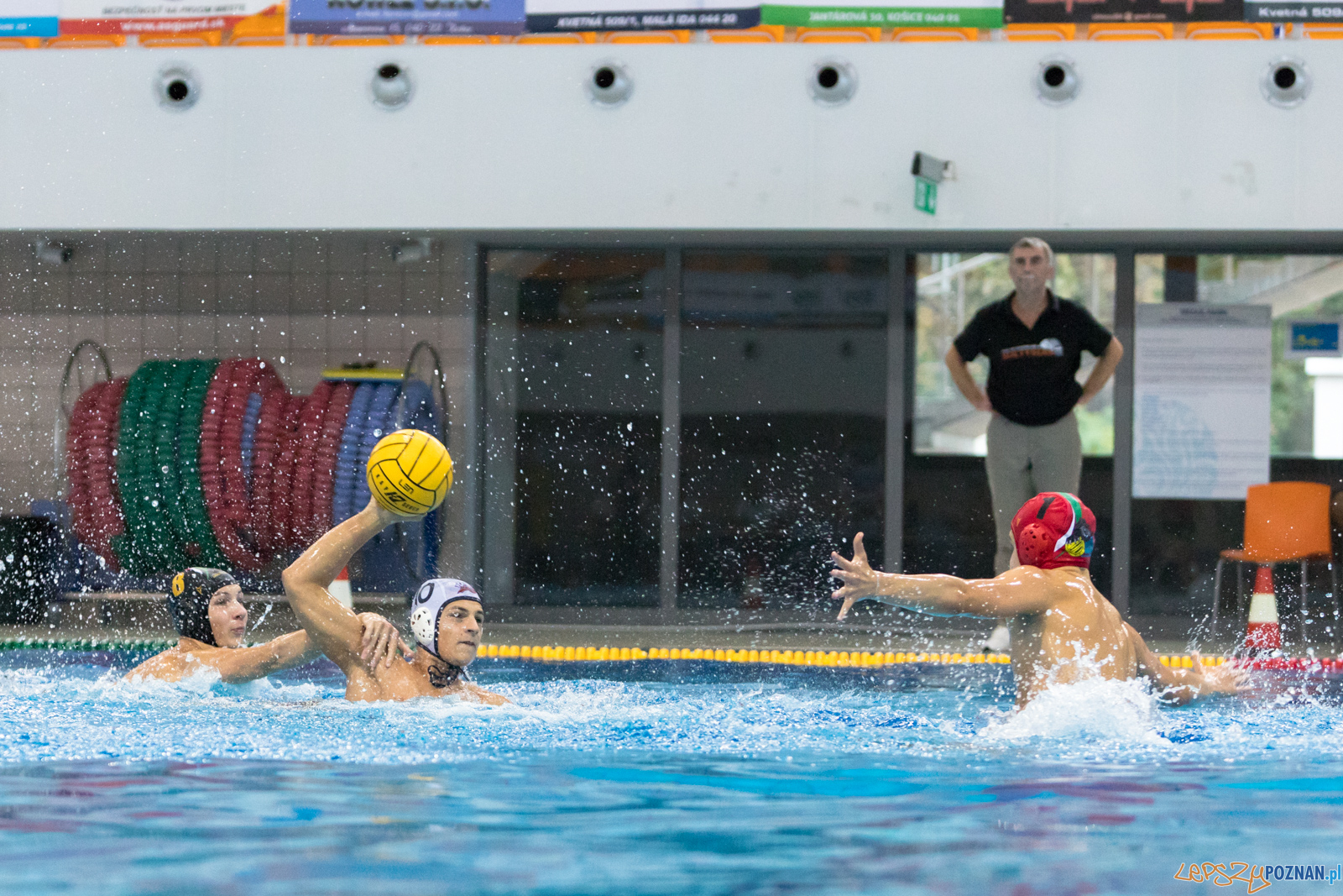 Waterpolo Cup 2019 - Hornets Koszyce - Alfa Gorzów Wielkopolski Foto: lepszyPOZNAN.pl/Piotr Rychter Waterpolo Cup 2019 - Hornets Koszyce - Alfa Gorzów Wielkopolski Foto: lepszyPOZNAN.pl/Piotr Rychter