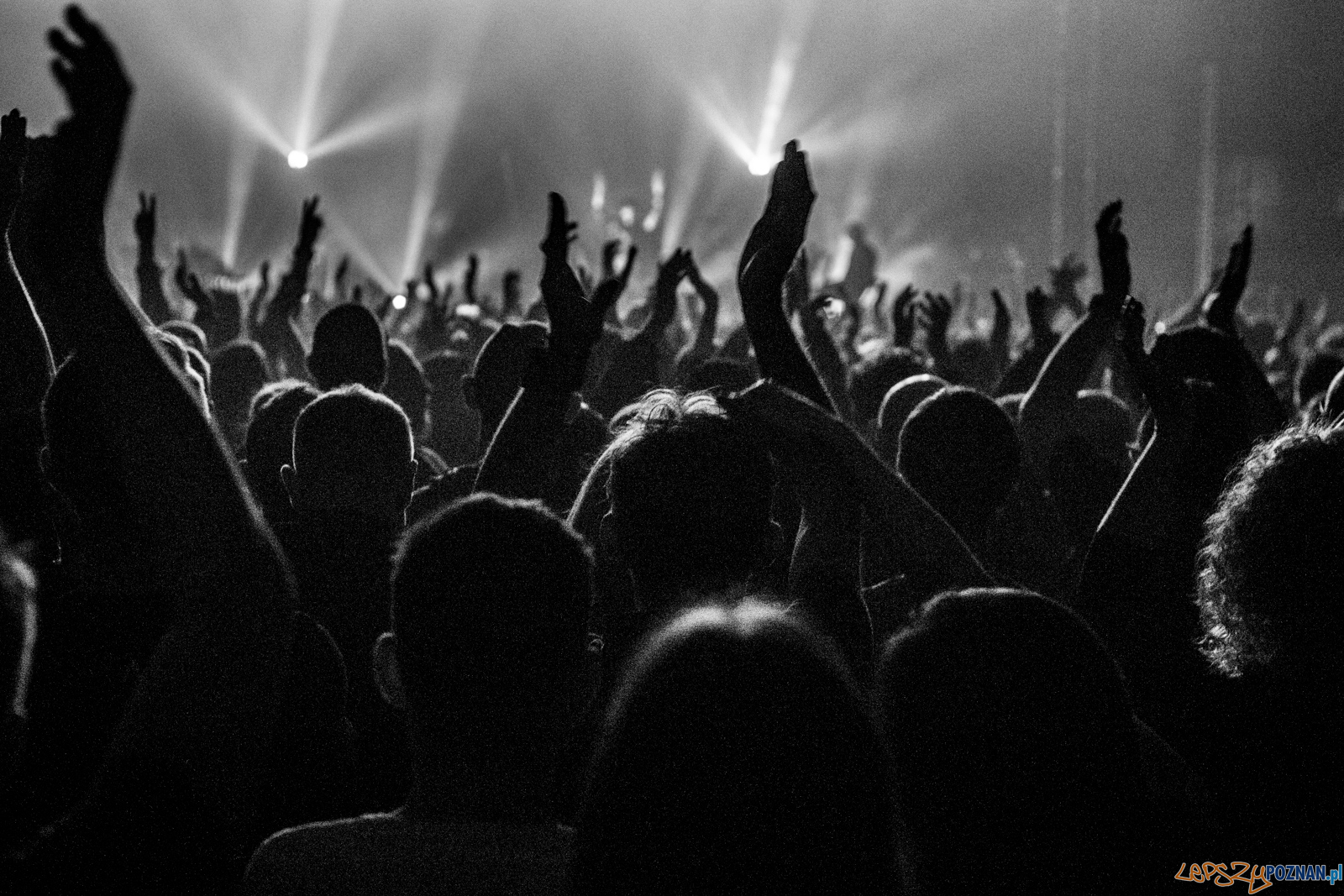 Archive Foto: lepszyPOZNAN.pl / Ewelina Jaśkowiak Archive Foto: lepszyPOZNAN.pl / Ewelina Jaśkowiak