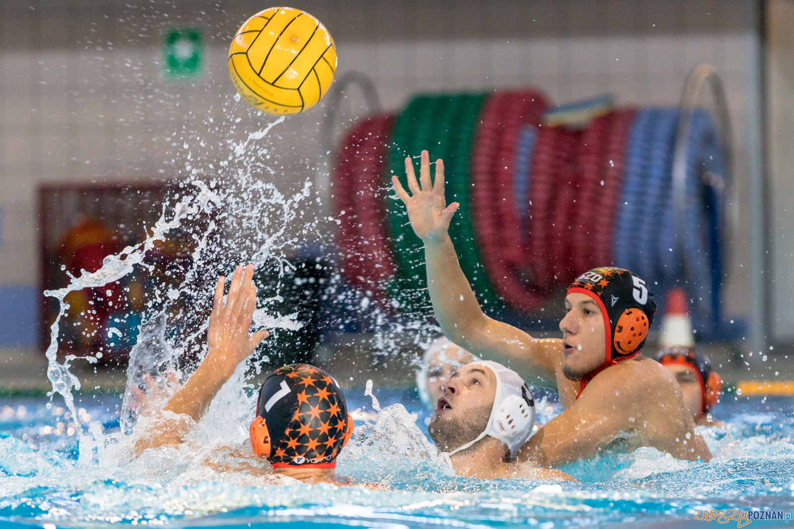 Waterpolo Cup 2019 - Alfa Gorzów Wielkopolski - KSZO Ostrowiec Foto: lepszyPOZNAN.pl/Piotr Rychter Waterpolo Cup 2019 - Alfa Gorzów Wielkopolski - KSZO Ostrowiec Foto: lepszyPOZNAN.pl/Piotr Rychter