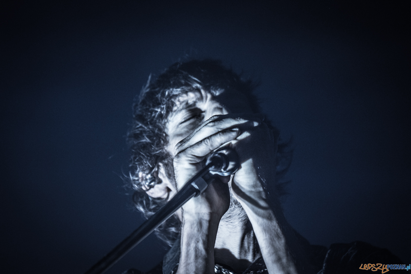 Archive Foto: lepszyPOZNAN.pl / Ewelina Jaśkowiak Archive Foto: lepszyPOZNAN.pl / Ewelina Jaśkowiak