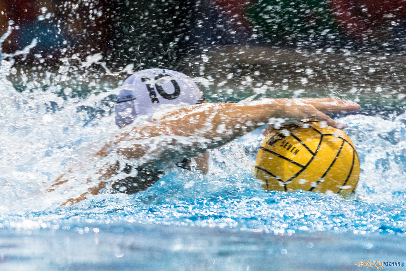 Waterpolo Cup 2019 - Hornets Koszyce - Alfa Gorzów Wielkopolski Foto: lepszyPOZNAN.pl/Piotr Rychter Waterpolo Cup 2019 - Hornets Koszyce - Alfa Gorzów Wielkopolski Foto: lepszyPOZNAN.pl/Piotr Rychter