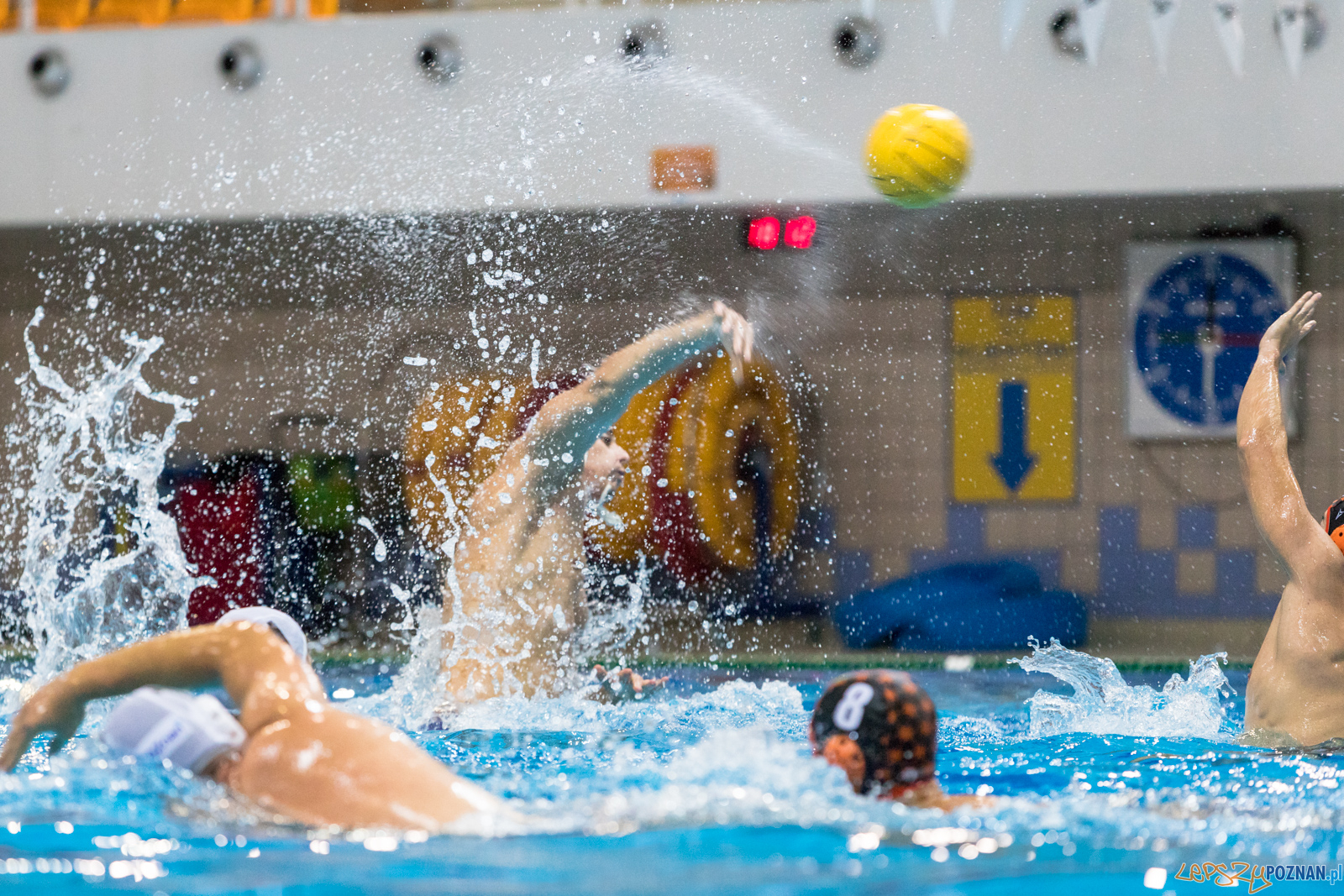 Waterpolo Cup 2019 - Waterpolo Poznań - KSZO Ostrowiec Święto Foto: lepszyPOZNAN.pl/Piotr Rychter Waterpolo Cup 2019 - Waterpolo Poznań - KSZO Ostrowiec Święto Foto: lepszyPOZNAN.pl/Piotr Rychter