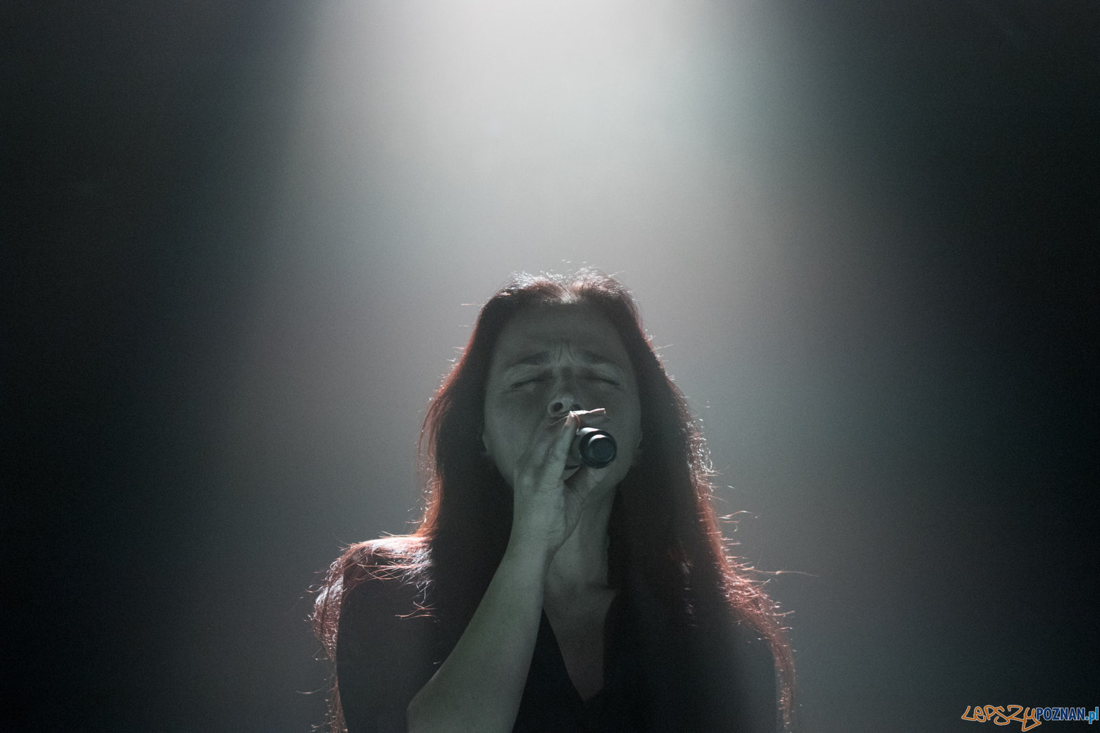 Archive Foto: lepszyPOZNAN.pl / Ewelina Jaśkowiak Archive Foto: lepszyPOZNAN.pl / Ewelina Jaśkowiak