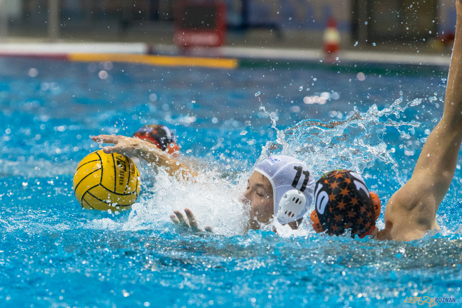 Waterpolo Cup 2019 - Waterpolo Poznań - KSZO Ostrowiec Święto Foto: lepszyPOZNAN.pl/Piotr Rychter Waterpolo Cup 2019 - Waterpolo Poznań - KSZO Ostrowiec Święto Foto: lepszyPOZNAN.pl/Piotr Rychter