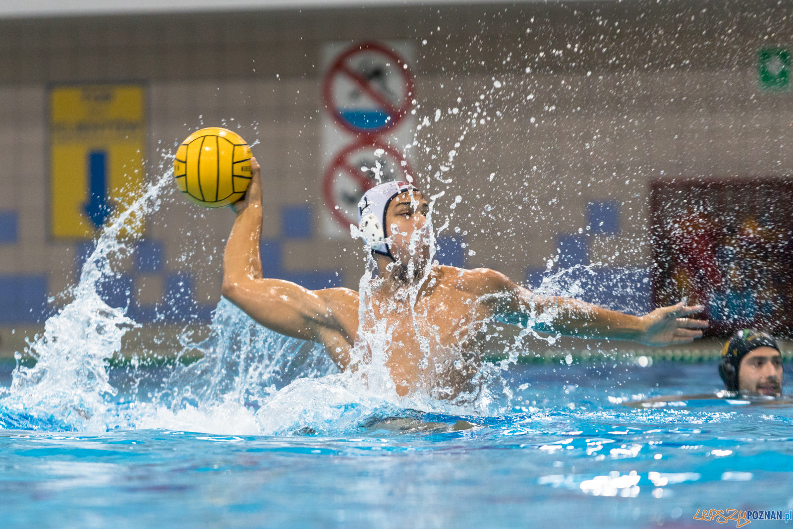 Waterpolo Cup 2019 - Hornets Koszyce - Alfa Gorzów Wielkopolski Foto: lepszyPOZNAN.pl/Piotr Rychter Waterpolo Cup 2019 - Hornets Koszyce - Alfa Gorzów Wielkopolski Foto: lepszyPOZNAN.pl/Piotr Rychter