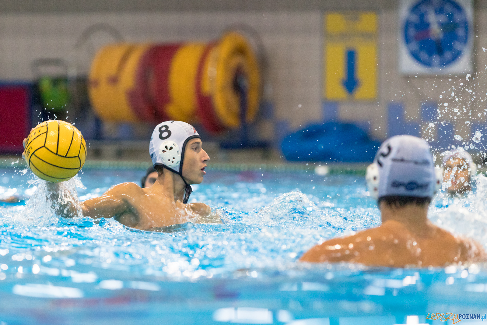 Waterpolo Cup 2019 - Hornets Koszyce - Alfa Gorzów Wielkopolski Foto: lepszyPOZNAN.pl/Piotr Rychter Waterpolo Cup 2019 - Hornets Koszyce - Alfa Gorzów Wielkopolski Foto: lepszyPOZNAN.pl/Piotr Rychter