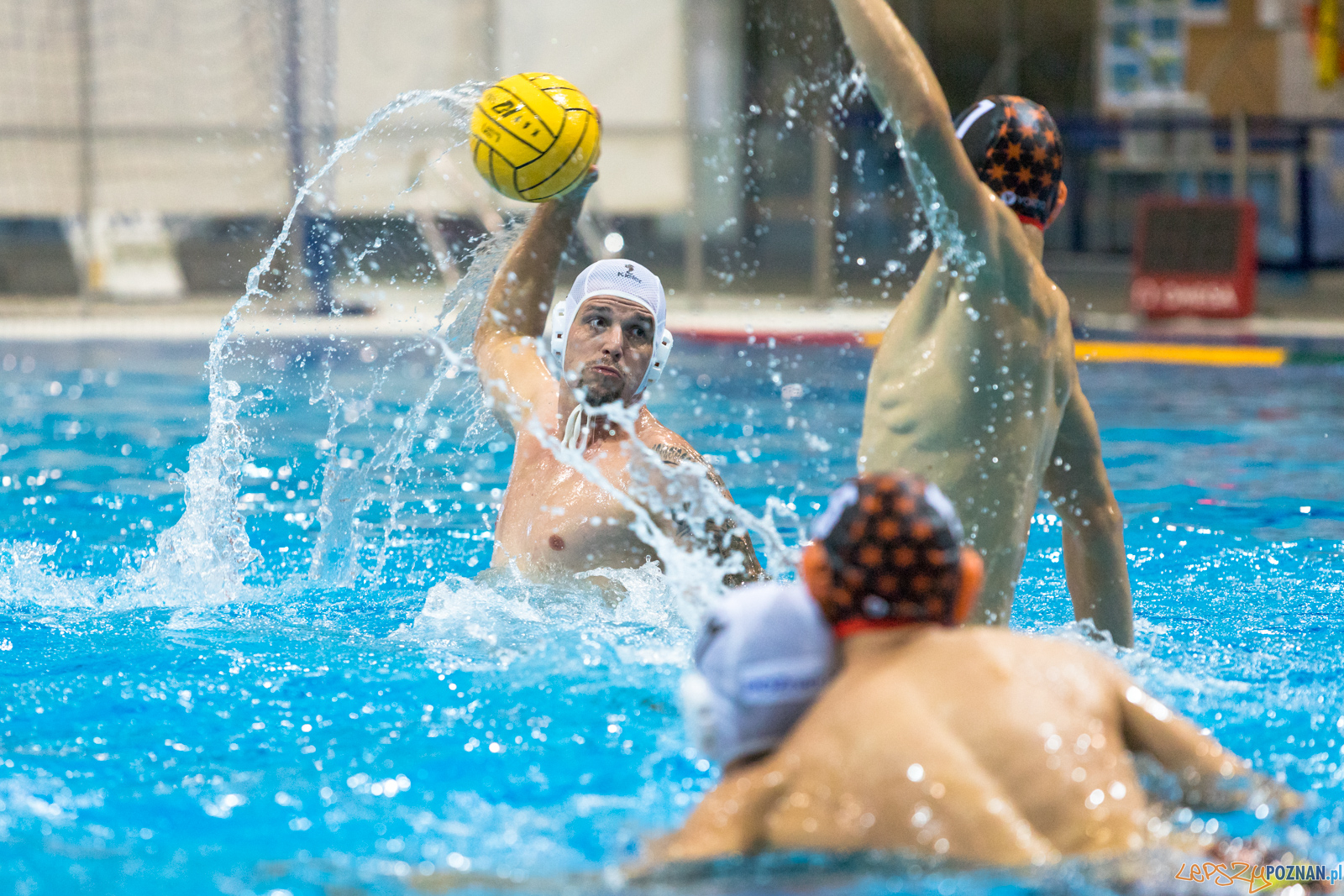 Waterpolo Cup 2019 - Waterpolo Poznań - KSZO Ostrowiec Święto Foto: lepszyPOZNAN.pl/Piotr Rychter Waterpolo Cup 2019 - Waterpolo Poznań - KSZO Ostrowiec Święto Foto: lepszyPOZNAN.pl/Piotr Rychter