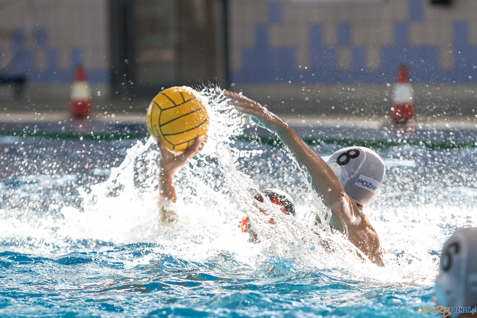 Waterpolo Cup 2019 - Alfa Gorzów Wielkopolski - KSZO Ostrowiec Foto: lepszyPOZNAN.pl/Piotr Rychter Waterpolo Cup 2019 - Alfa Gorzów Wielkopolski - KSZO Ostrowiec Foto: lepszyPOZNAN.pl/Piotr Rychter